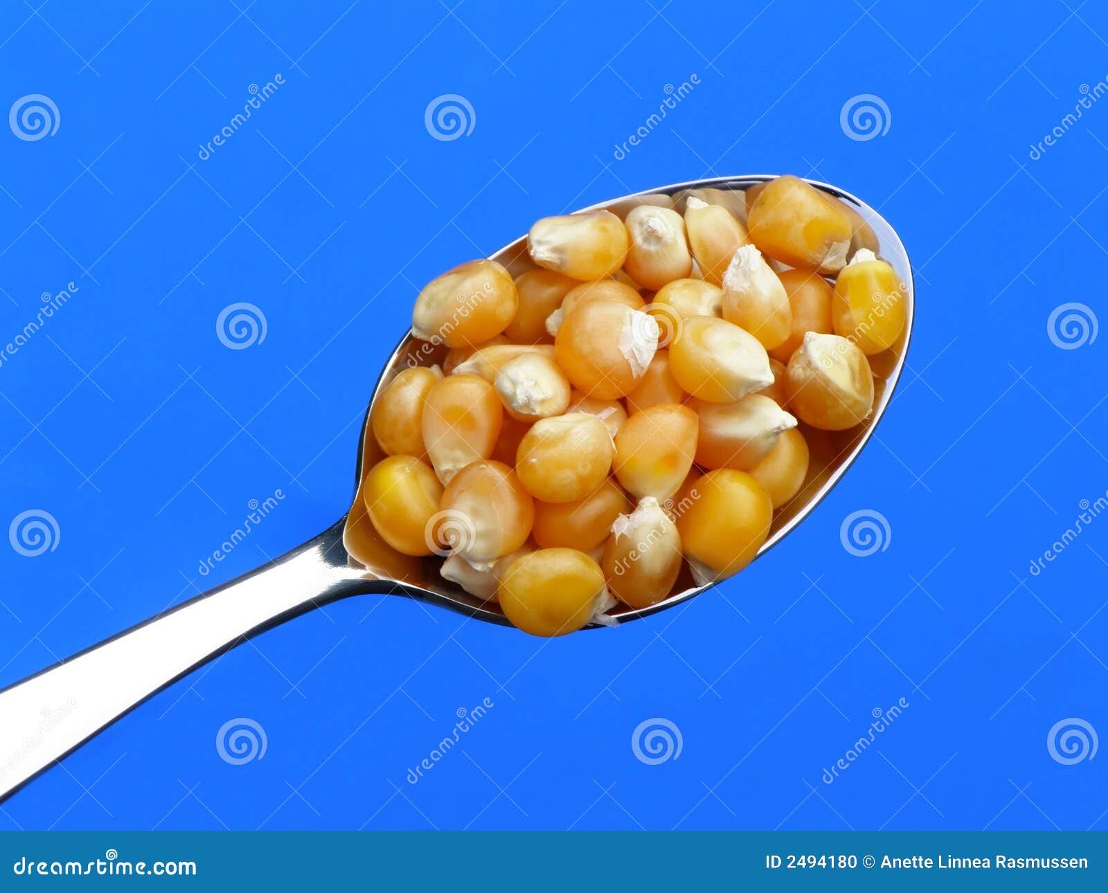 Maize corn stock photo. Image of spoon, macro, yellow 2494180