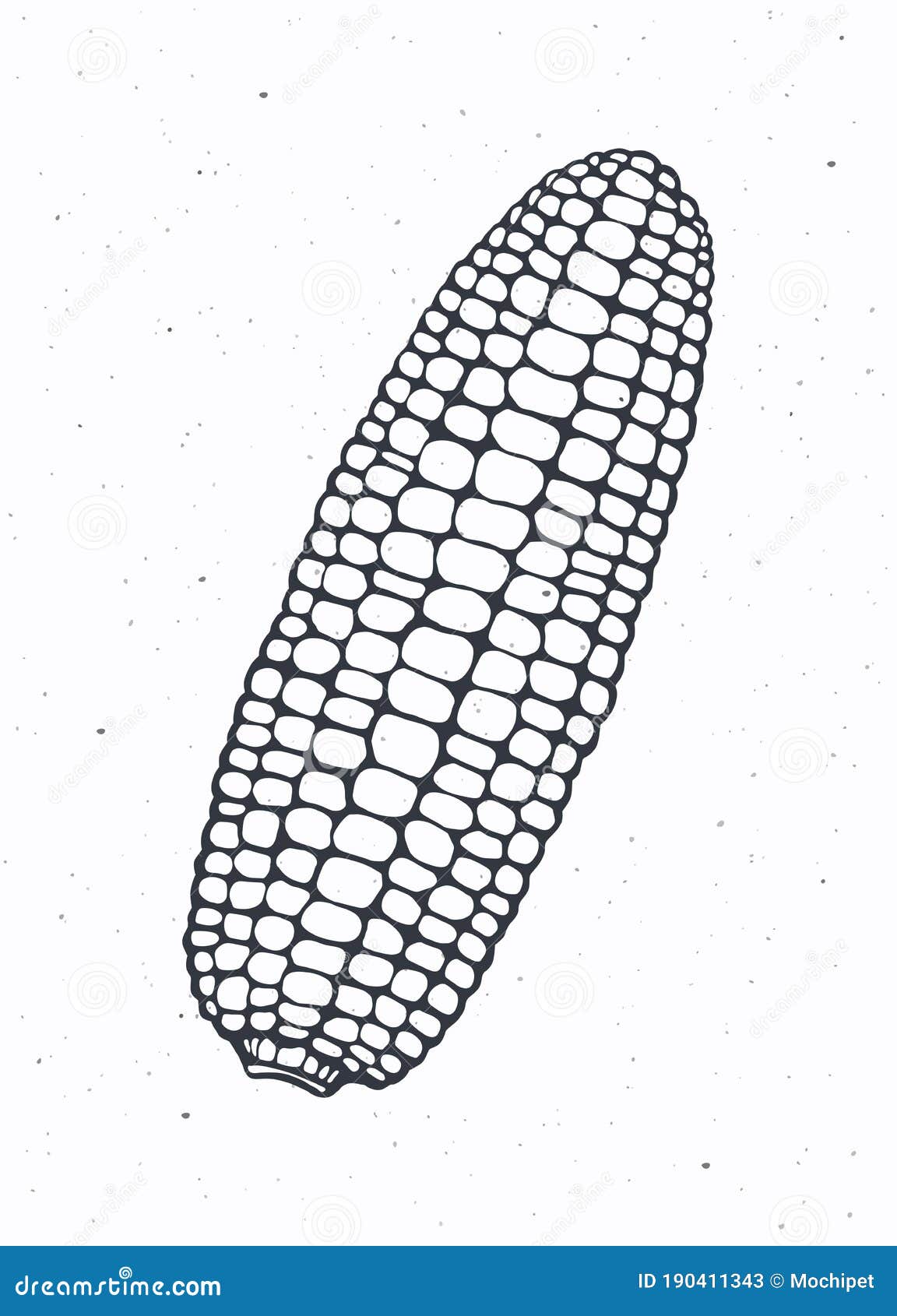 Maize Or Corn Cob Without Leaves Healthy Vegetarian Food Ingredient maize-or-corn-cob-without-leaves-healthy-vegetarian-food-ingredient