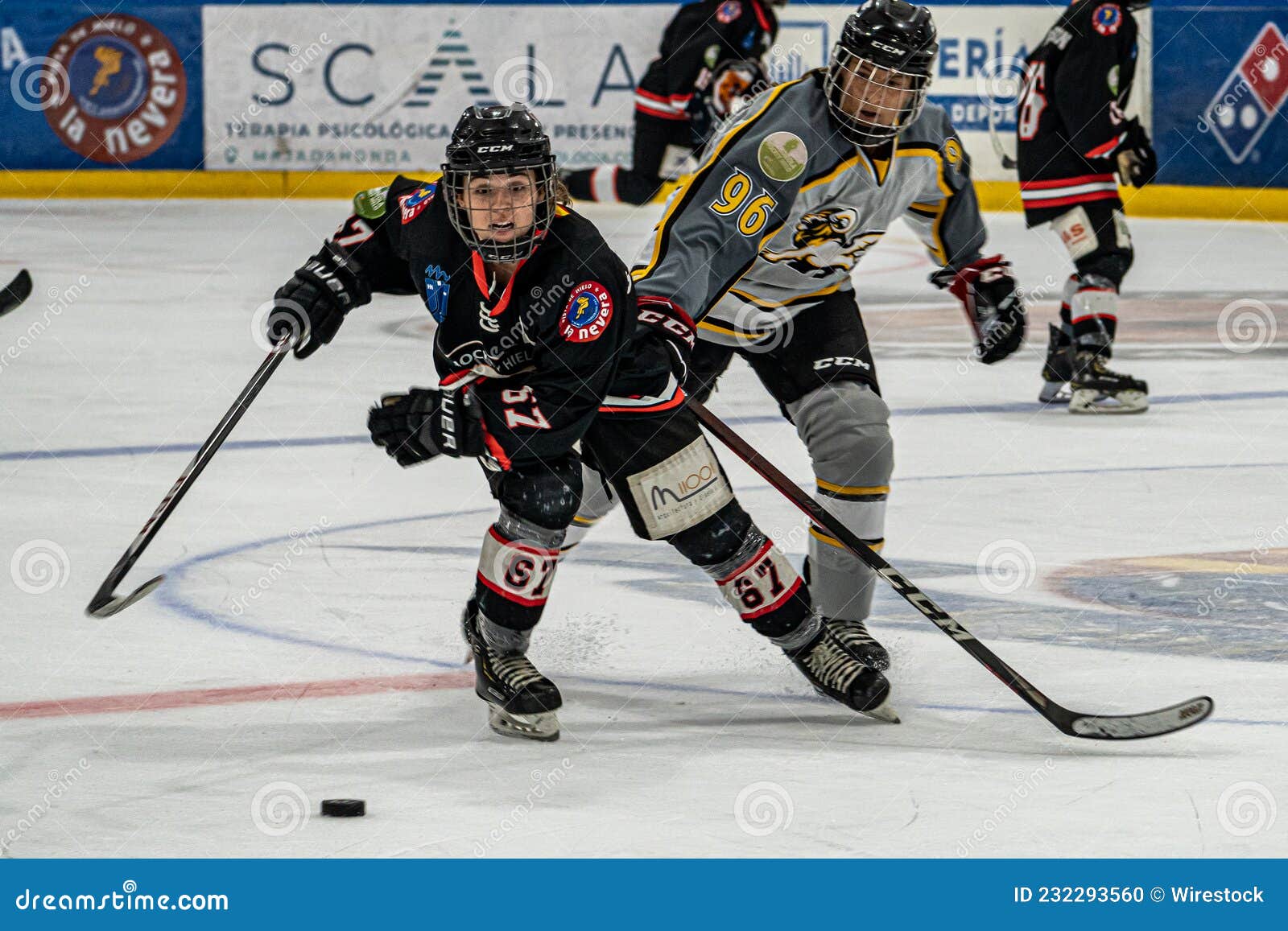 National Women S Ice Hockey Match between the Teams of Majadahonda and Valdemoro