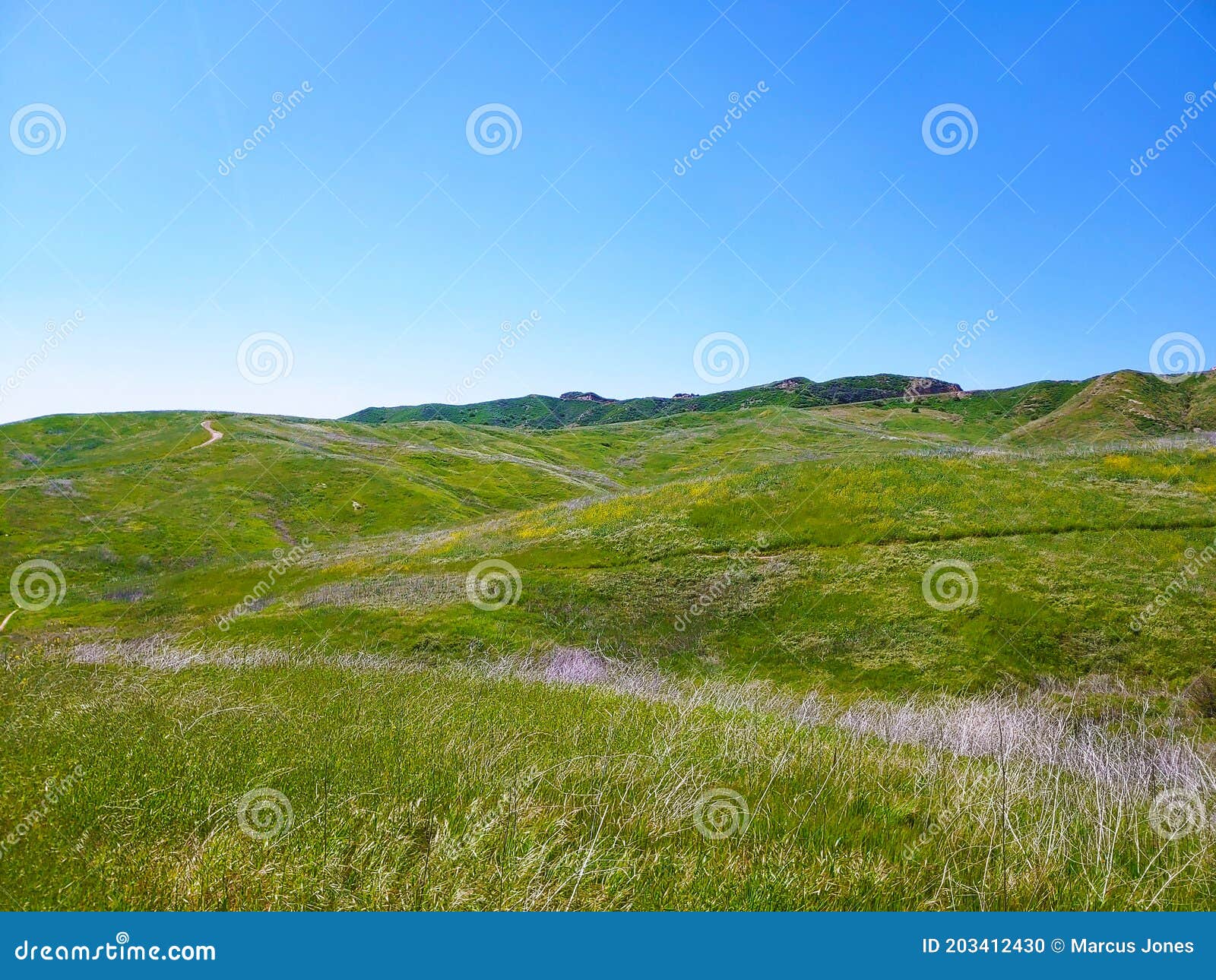 a majestic aerial shot of the lush green hillsides and mountains with a long winding road