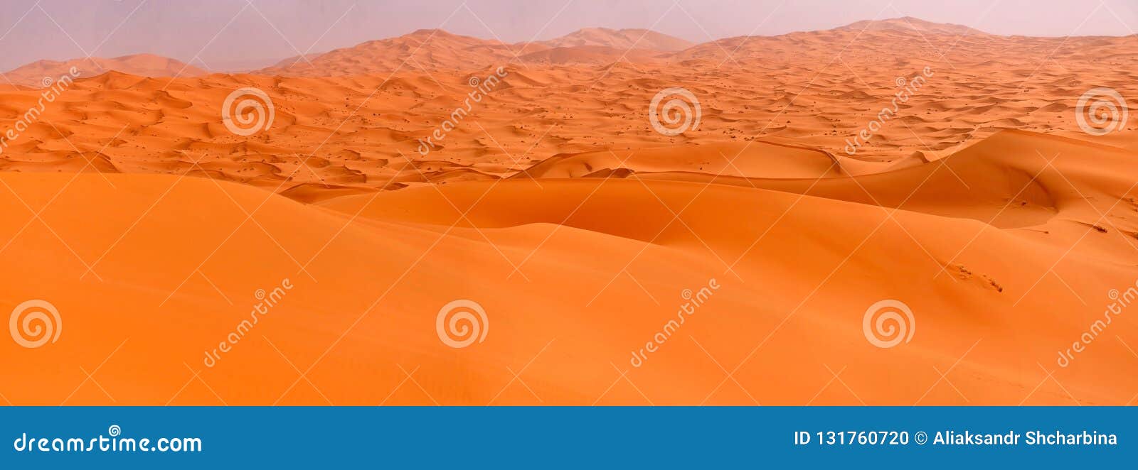 Majestic Dunes of the Sahara Desert at Dawn Stock Photo Image of