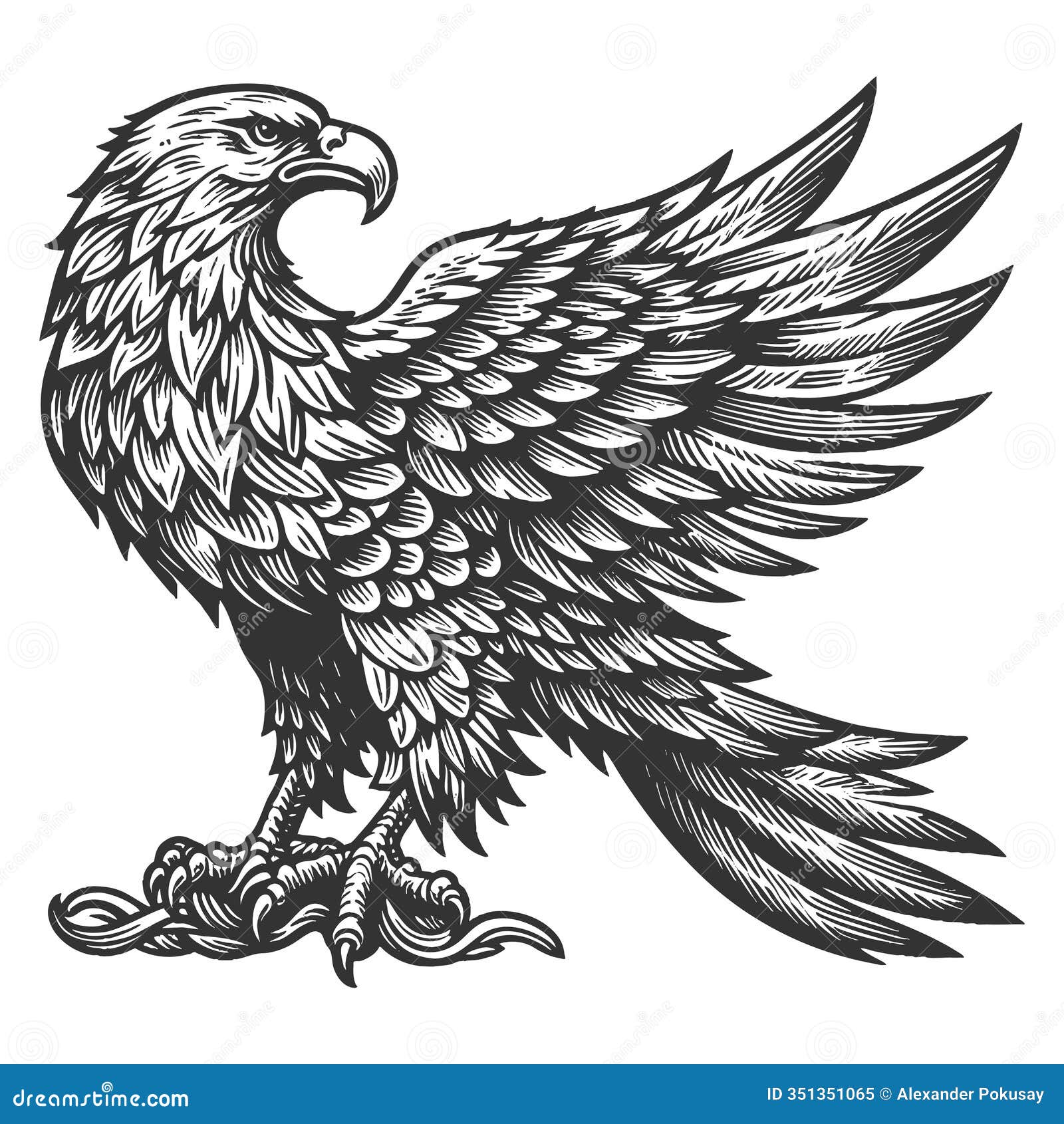 majestic eagle with wings spread engraving raster