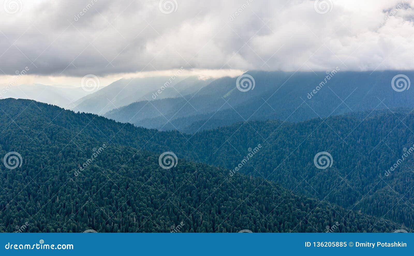 Majestic Landscape Of Summer Mountains A View Of The Misty Slopes Of