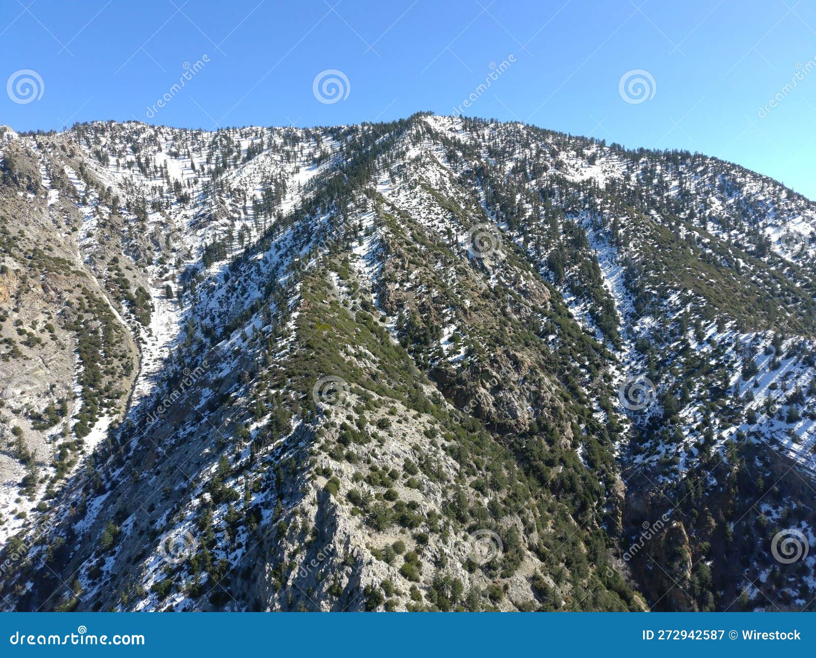 majestic mountain, covered in a layer of snow, and trees