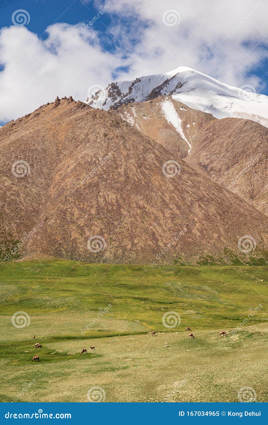 Majestic Snow Capped Mountain Peak With Green Alpine Meadows Stock