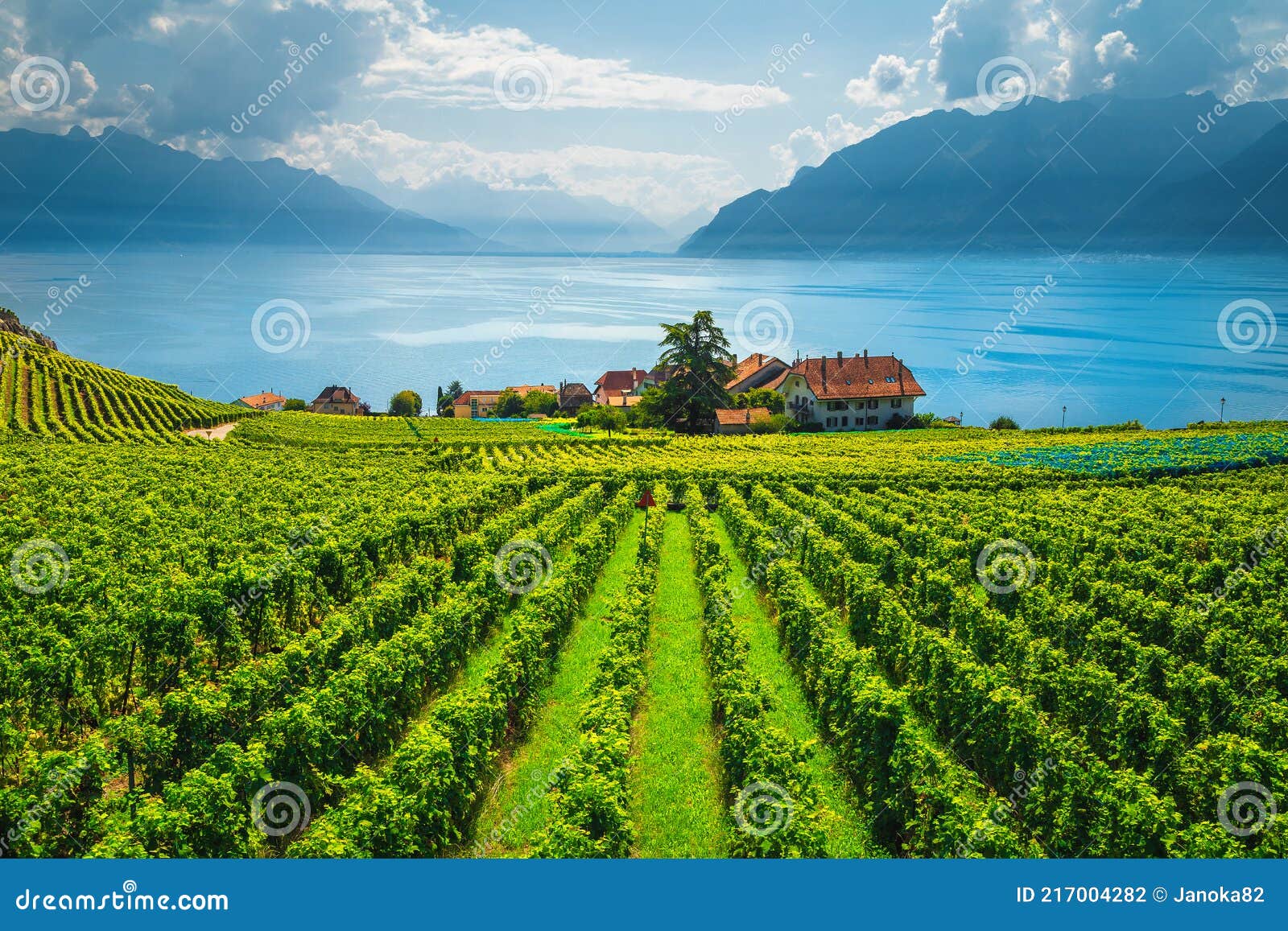 villa lavaux suisse anti aging