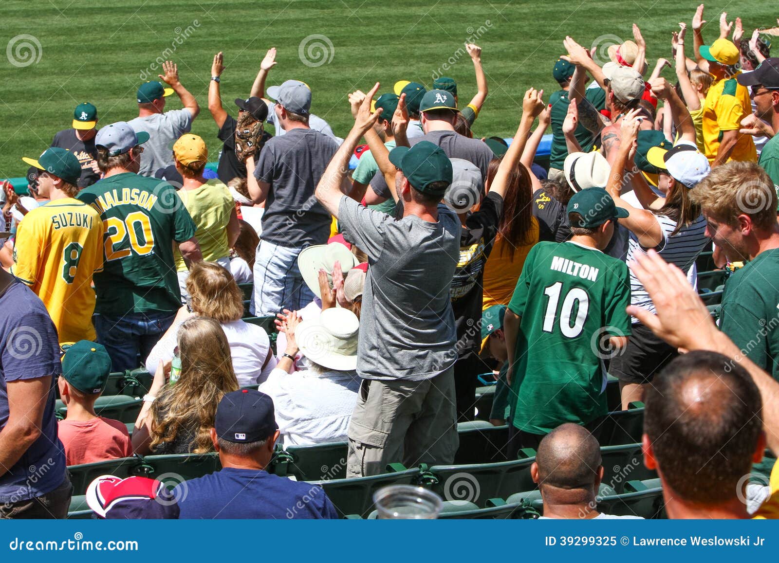 baseball fans cheering