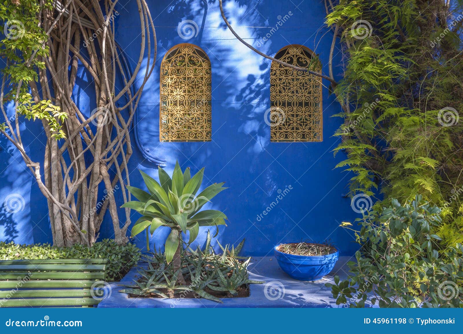 MajorelleGärten in Marrakesch Stockfoto Bild von marrakesch, palme