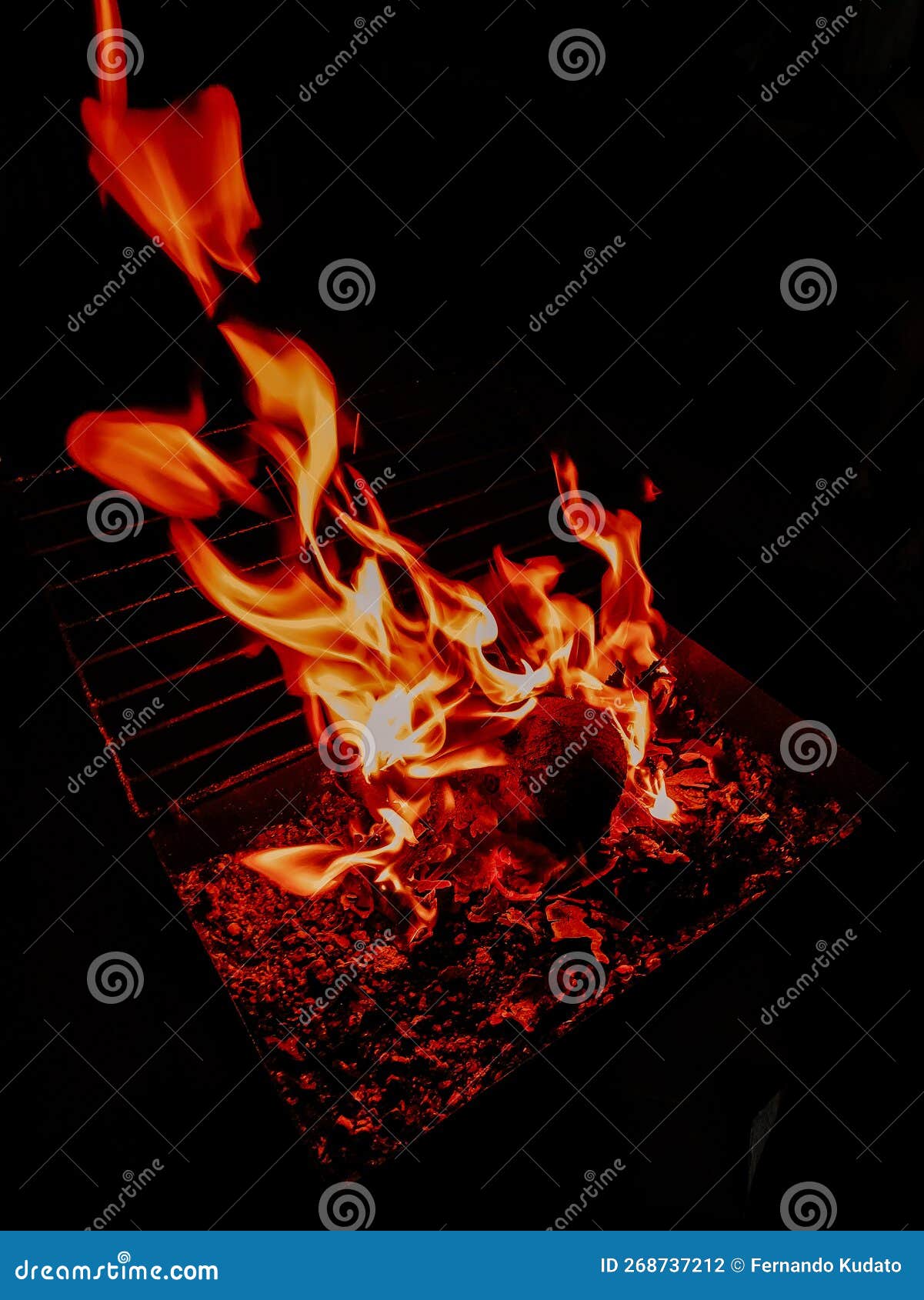 Make a Fire from Coconut Shells for Grilling Events Stock Photo Image