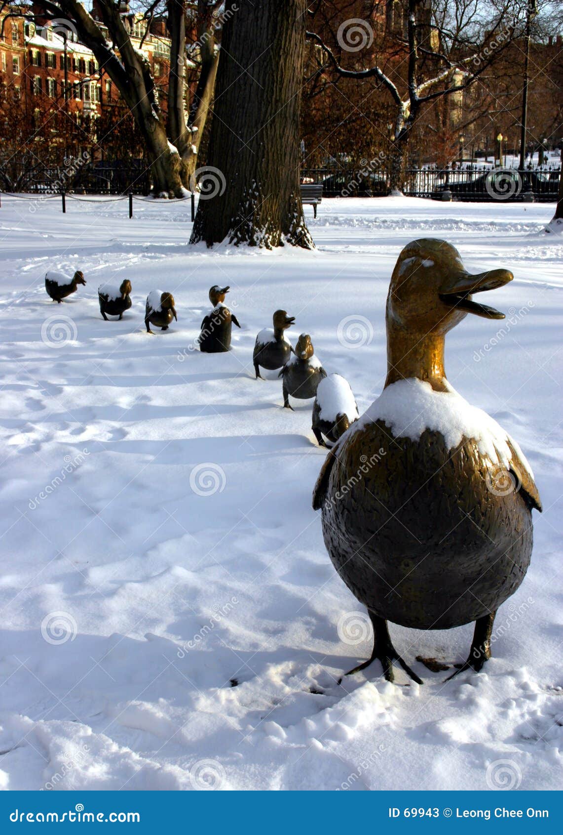 Make Way for Ducklings stock image. Image of walk, winter - 69943