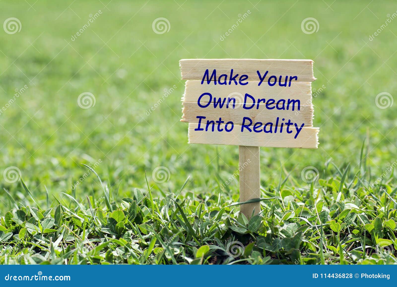 make your own dream into reality