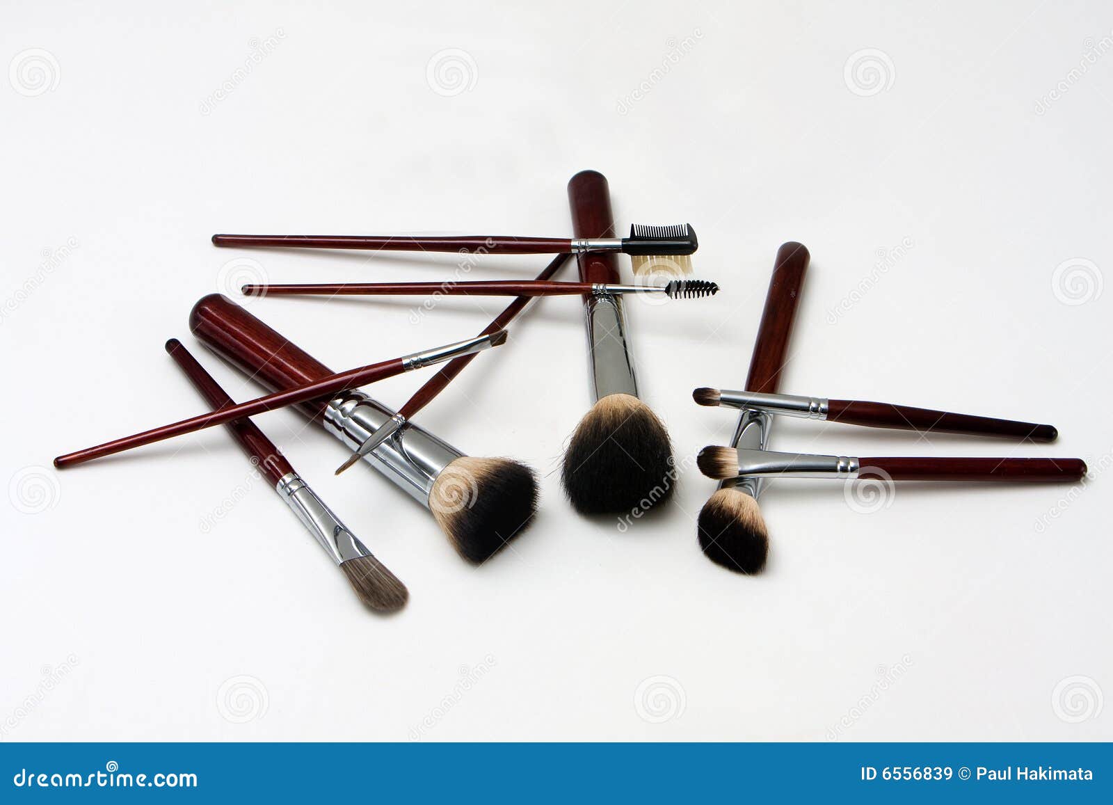 Set Of Makeup Brushes, Brushes For Cosmetics Of Different Sizes