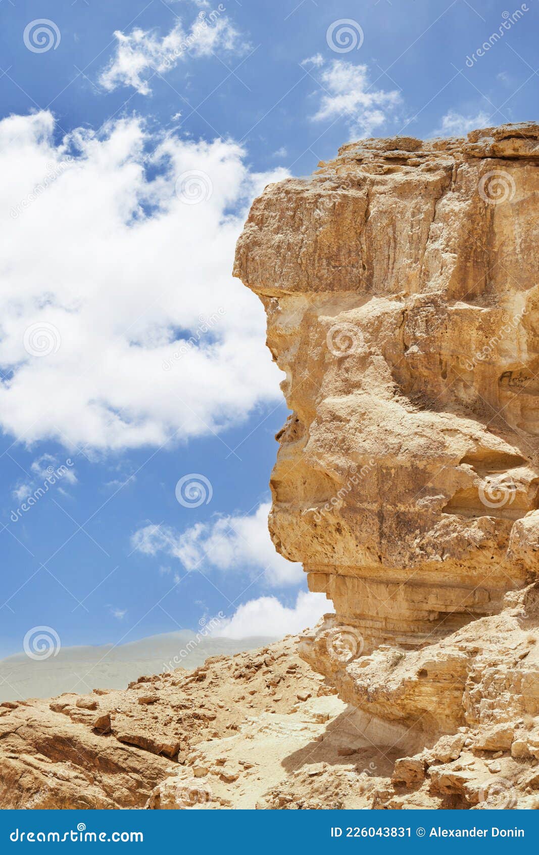 makhtesh ramon - ramon crater in israel's negev desert from the mitzpe ramon lookout, with mount ramon in the background