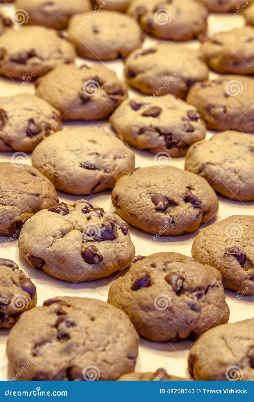 Making of Chocolate Chip Cookies Stock Photo Image of counter, bakery