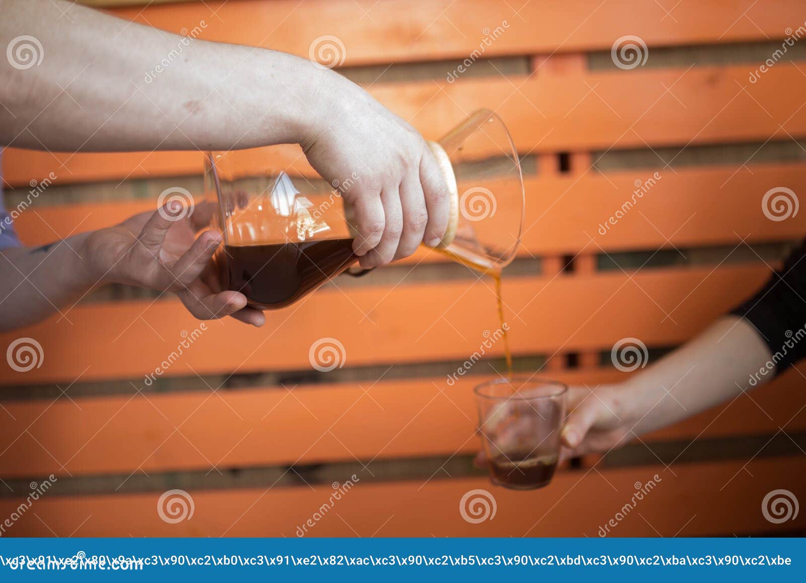 Making Coffee and French Press Coffee Maker Stock Photo Image of