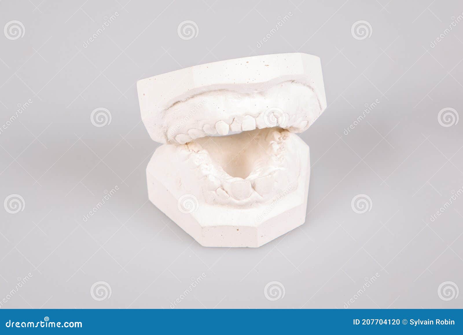 Making Dental Implants Print Plaster Teeth Dental Laboratory Stock