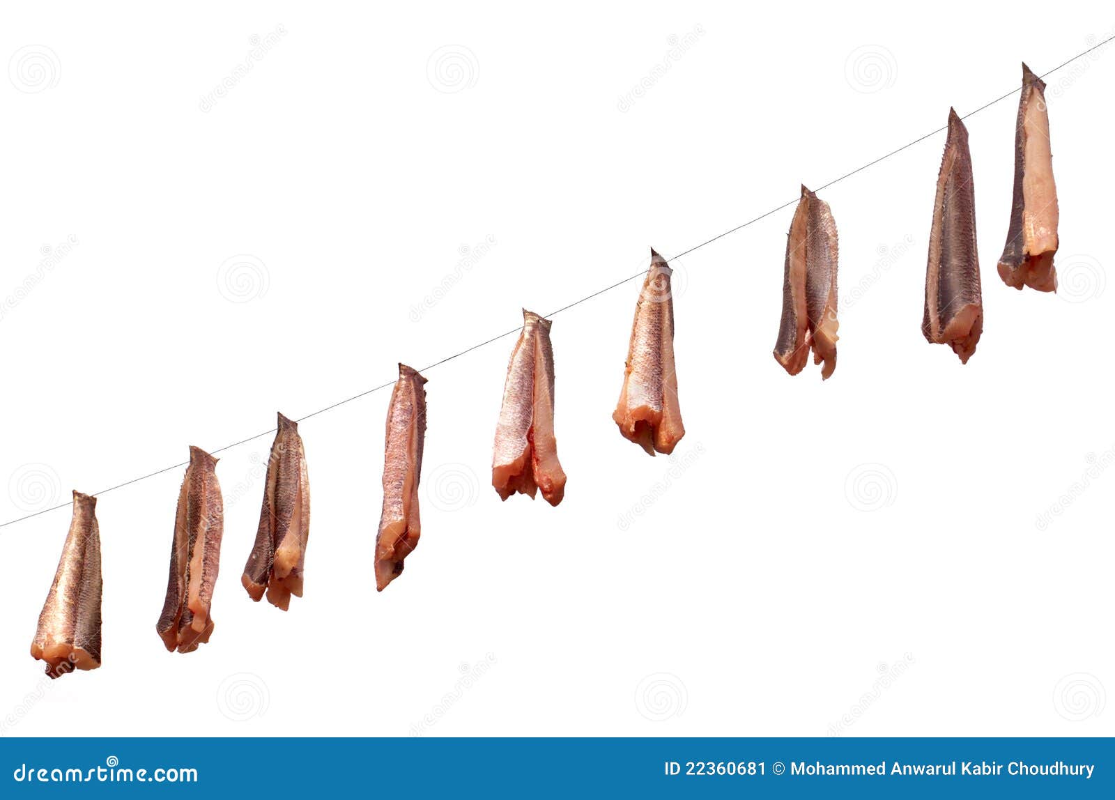 Making dried fish stock image. Image of dried, healthy 22360681