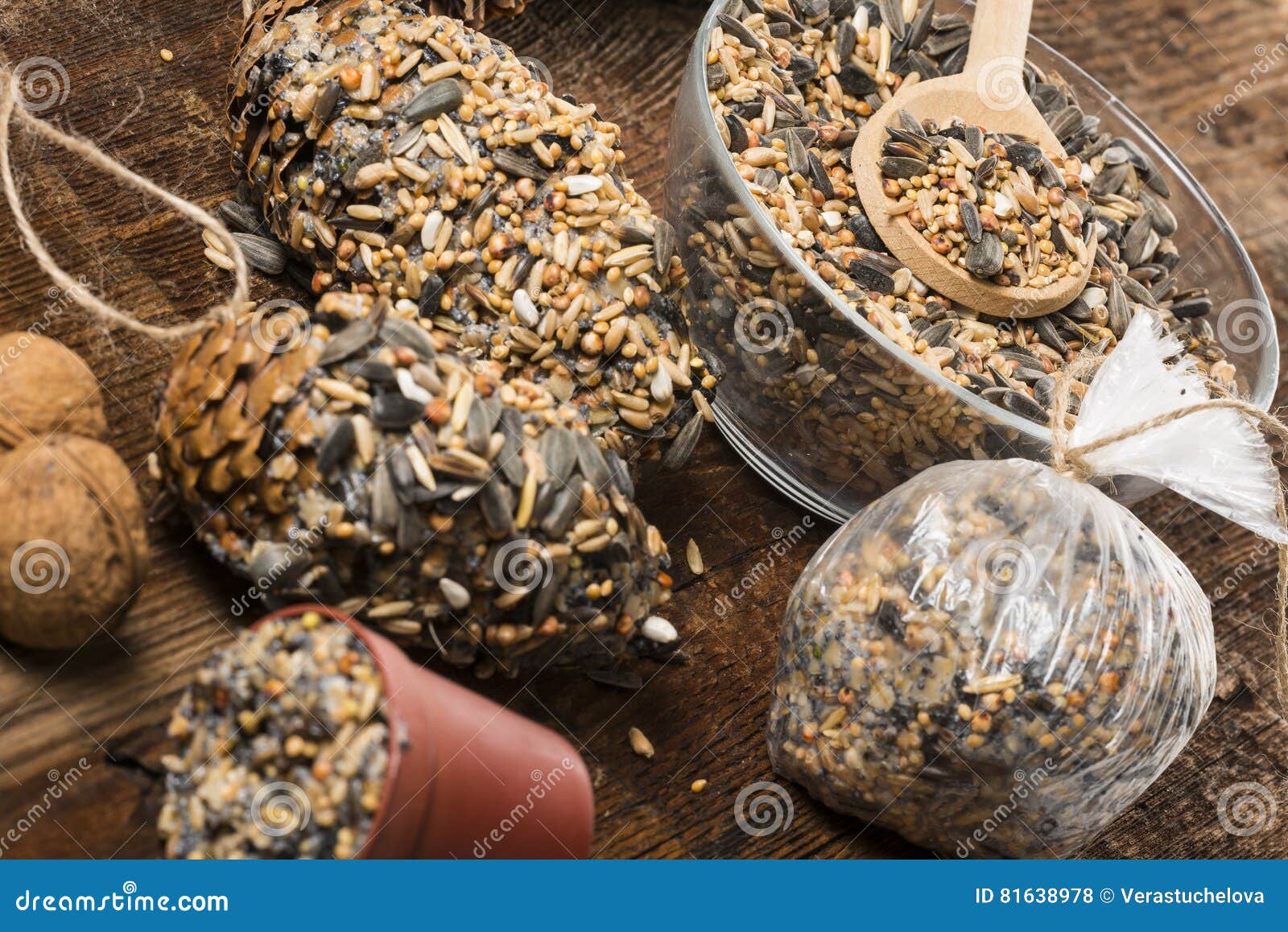 Making Feeders for Birds from Seeds and Fat Stock Photo Image of help
