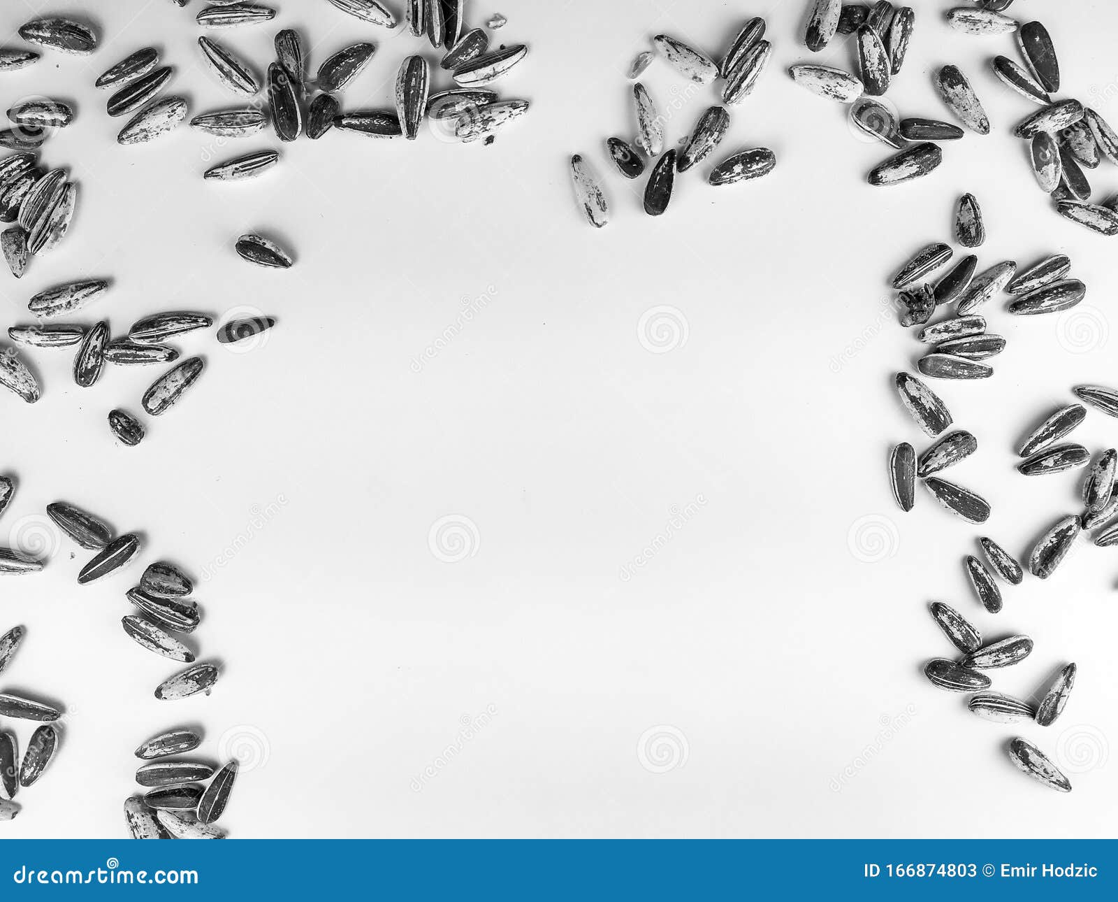 Making a Frame Out of Sunflower Seeds with Empty White Space Background