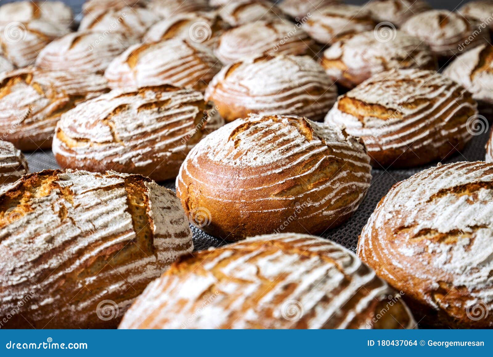 Making industrial bread stock photo. Image of natural 180437064