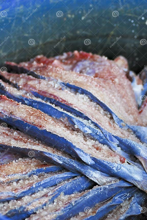 Making of Salt Fish stock photo. Image of fish, chinese 9589308
