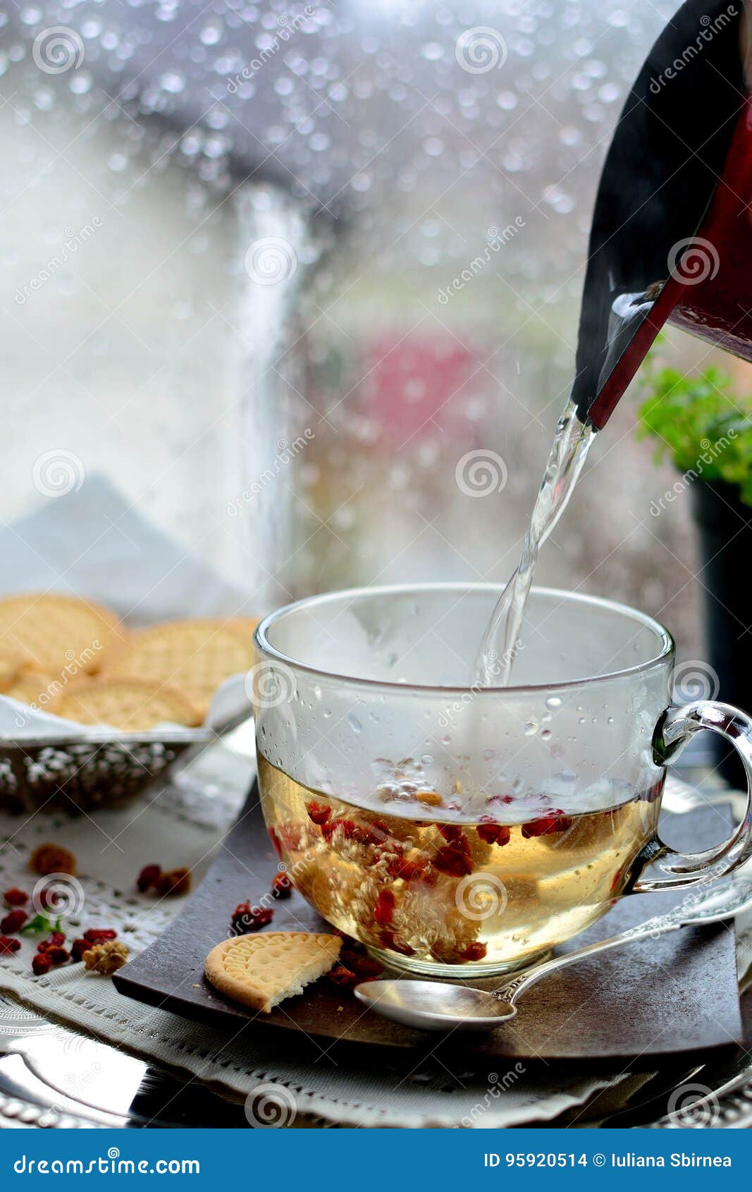 Making Tea Against Window with Rainy Day View Stock Photo Image of