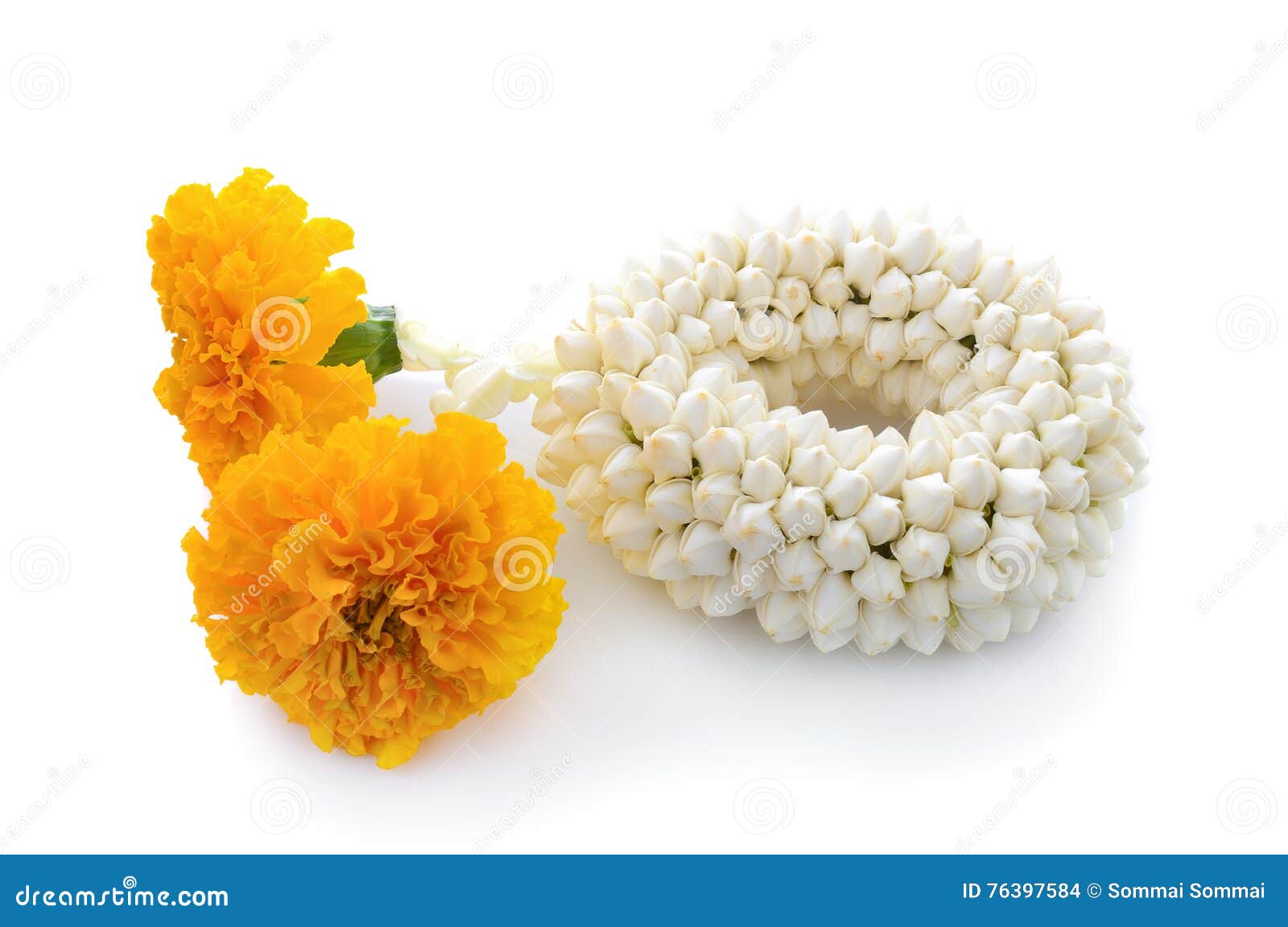 Malai the Flower in Thai Tradition Style Stock Photo Image of