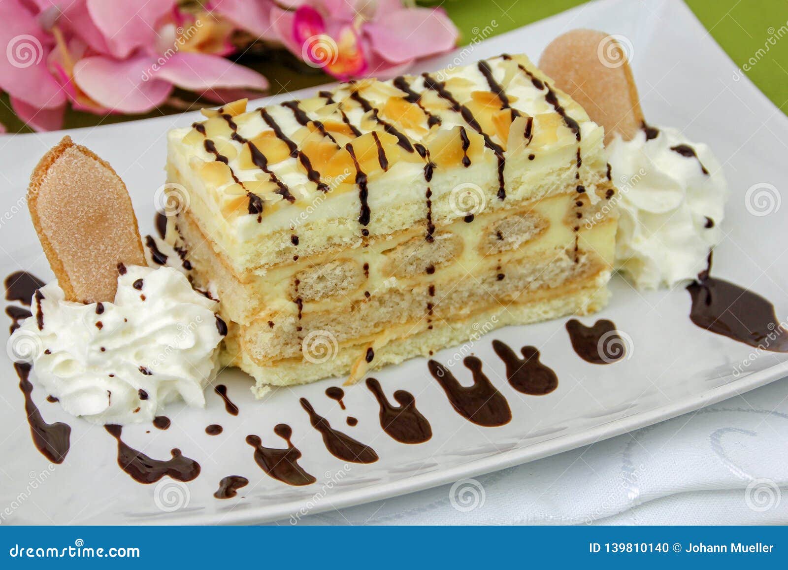 Malakoff Cake - Austrian Cake Stock Photo - Image of sponge, cream ...