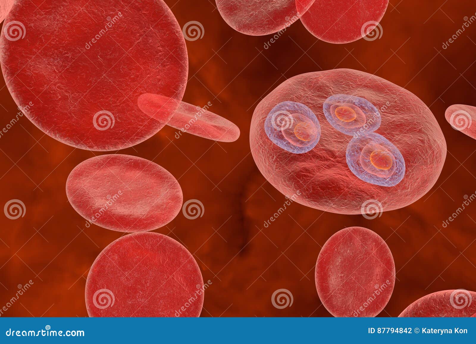 Malaria parasite (plasmodium)  Pathogen of malaria  P.vivax ; P.falciparum  ;P.malariae ; P.ovale  P.vivax ; P.falciparum are more common  Plasmodium.  - ppt download