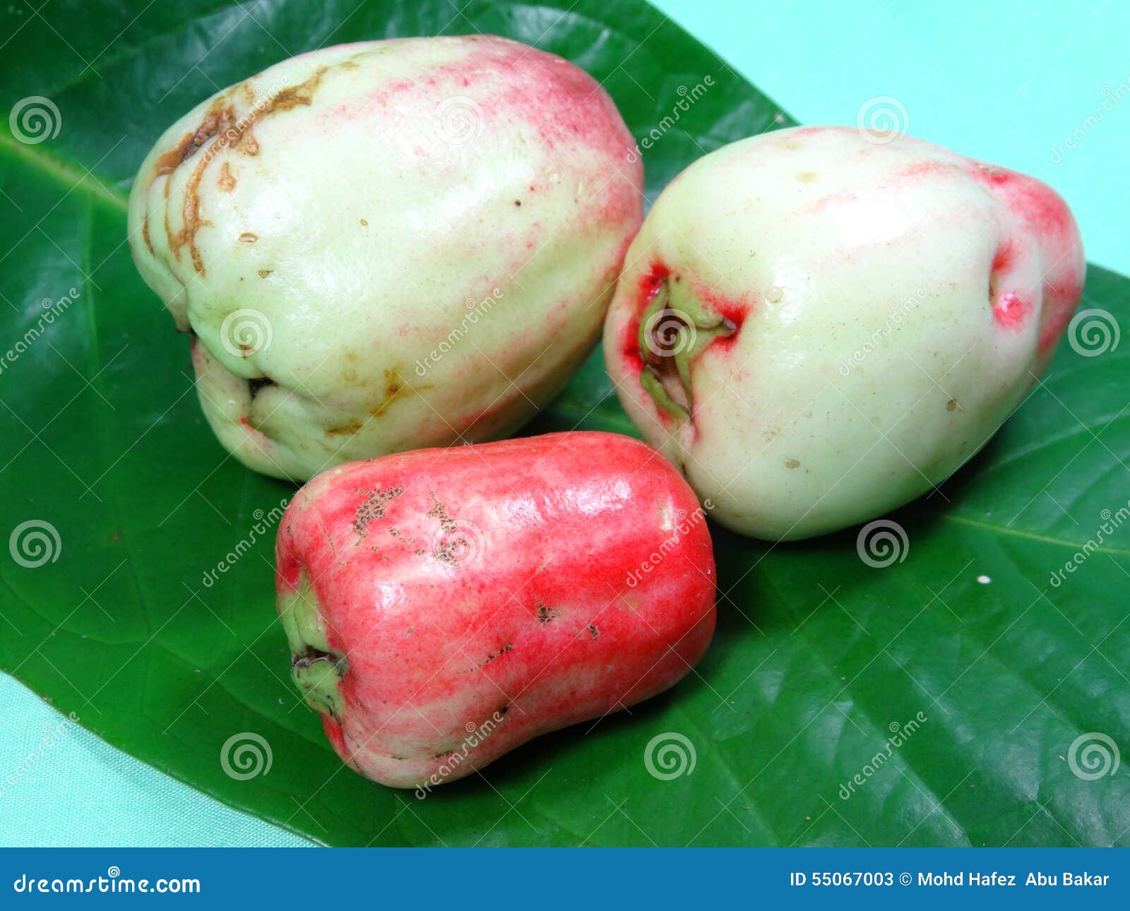 Malay rose apple fruit stock image. Image of apple, fruit 55067003