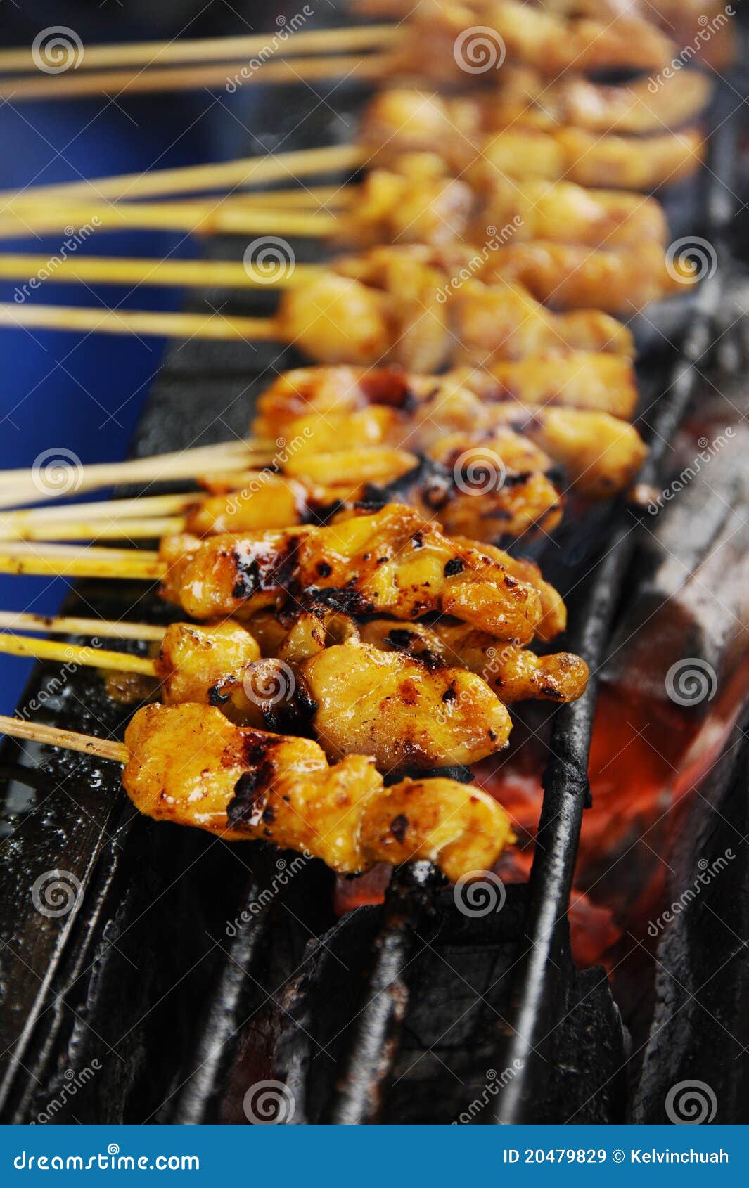 Malaysian Satay Cuisine stock image. Image of south, southeast 20479829