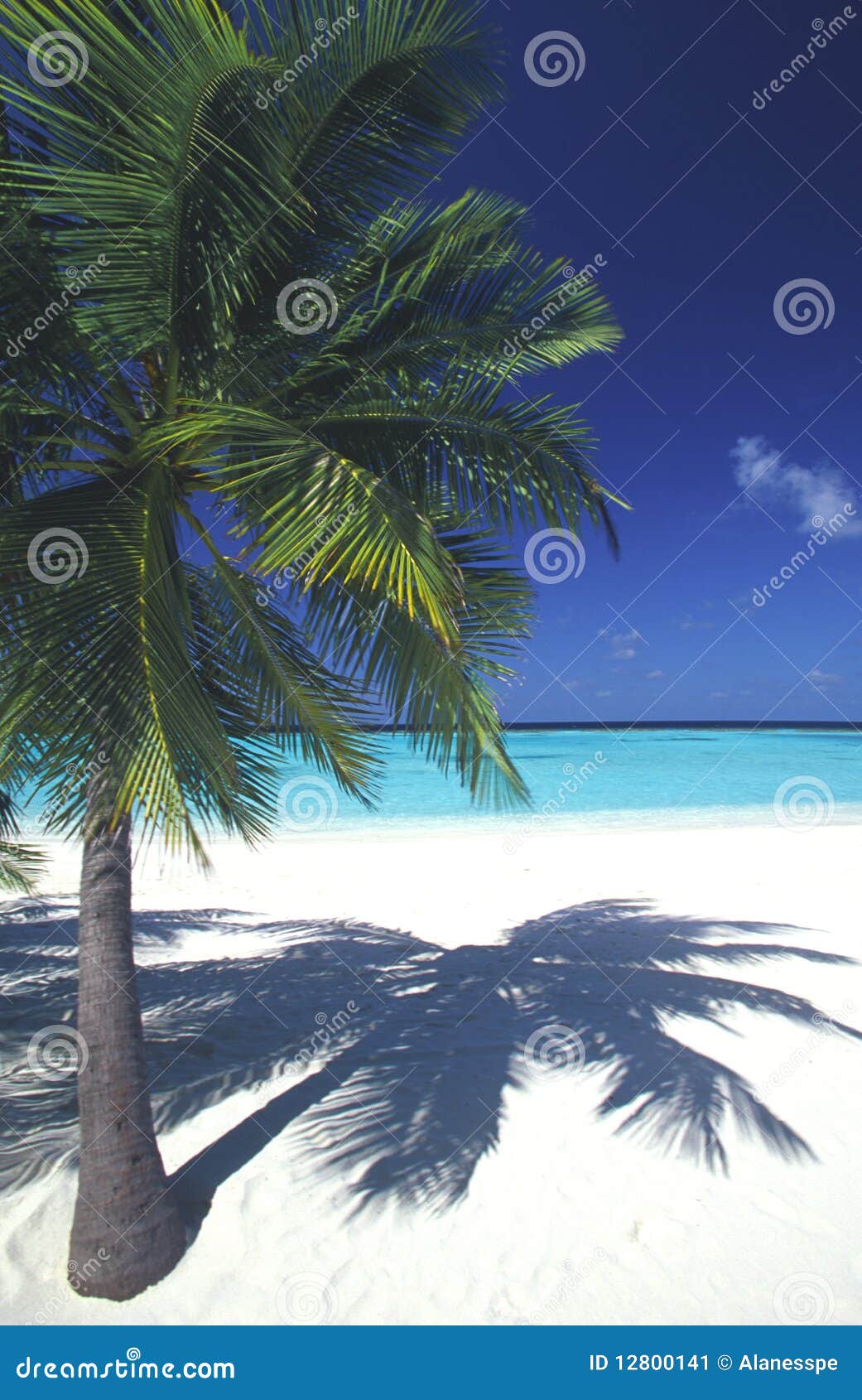 maldives idyllic beach