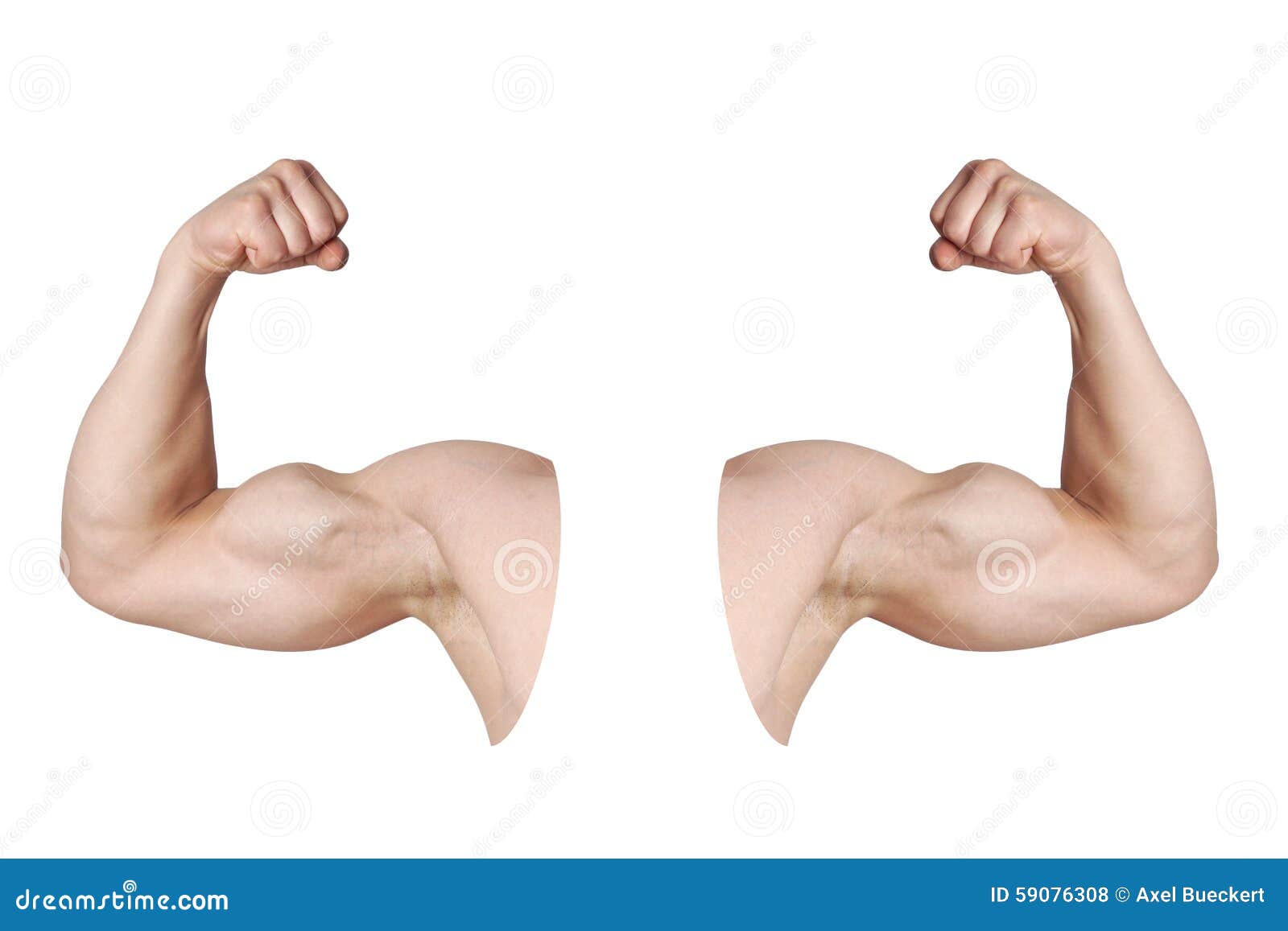 Male Arms With Flexed Biceps Muscles Stock Photo - Image ...