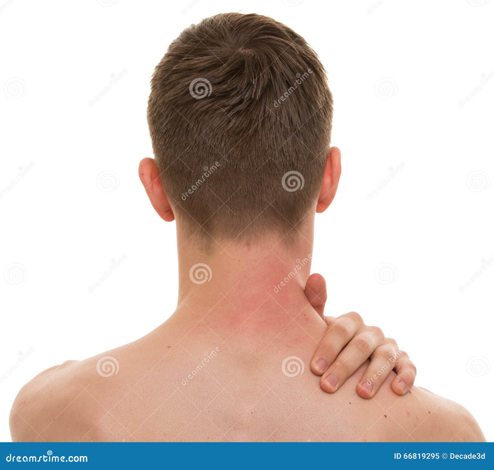 Male Back Neck Ache Isolated on White - REAL Anatomy Stock Image - Image of  neck, isolated: 66819295