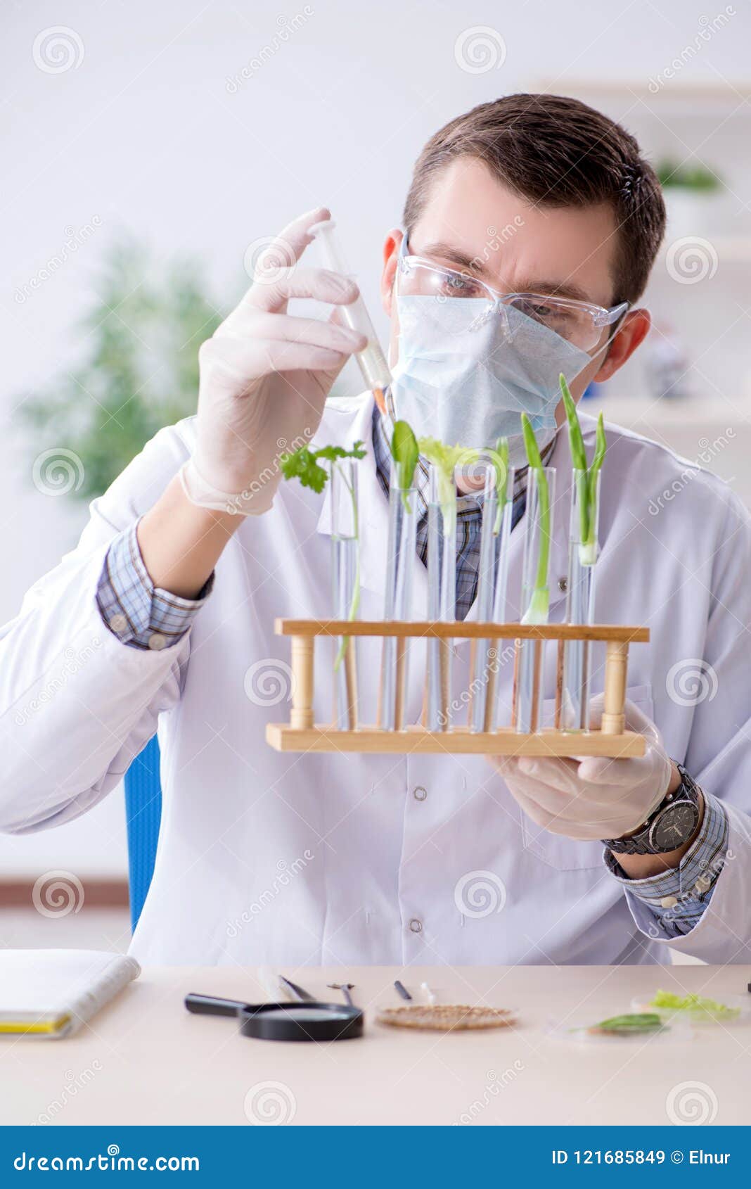 the male biochemist working in the lab on plants