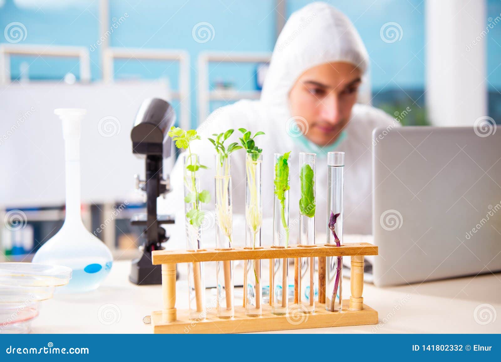 The Male Biotechnology Scientist Chemist Working in the Lab Stock Photo