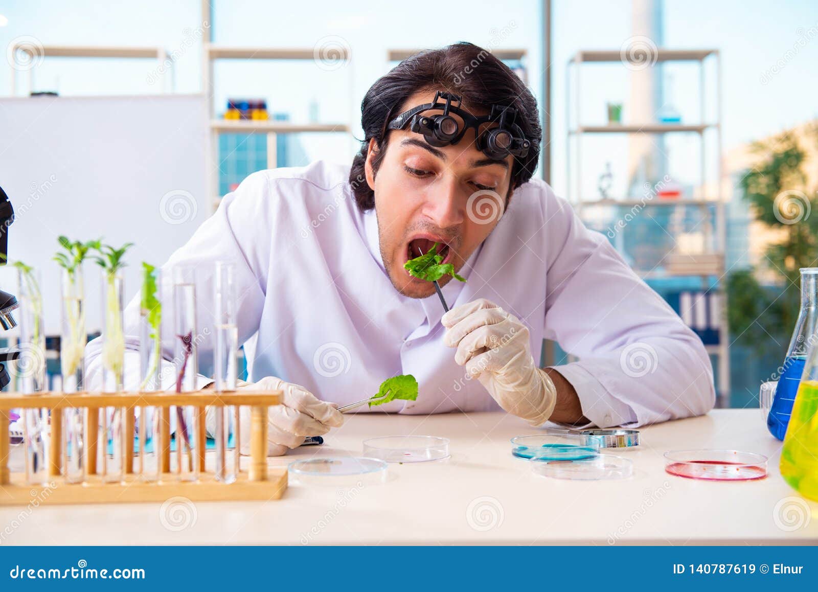 The Male Biotechnology Scientist Chemist Working in the Lab Stock Image