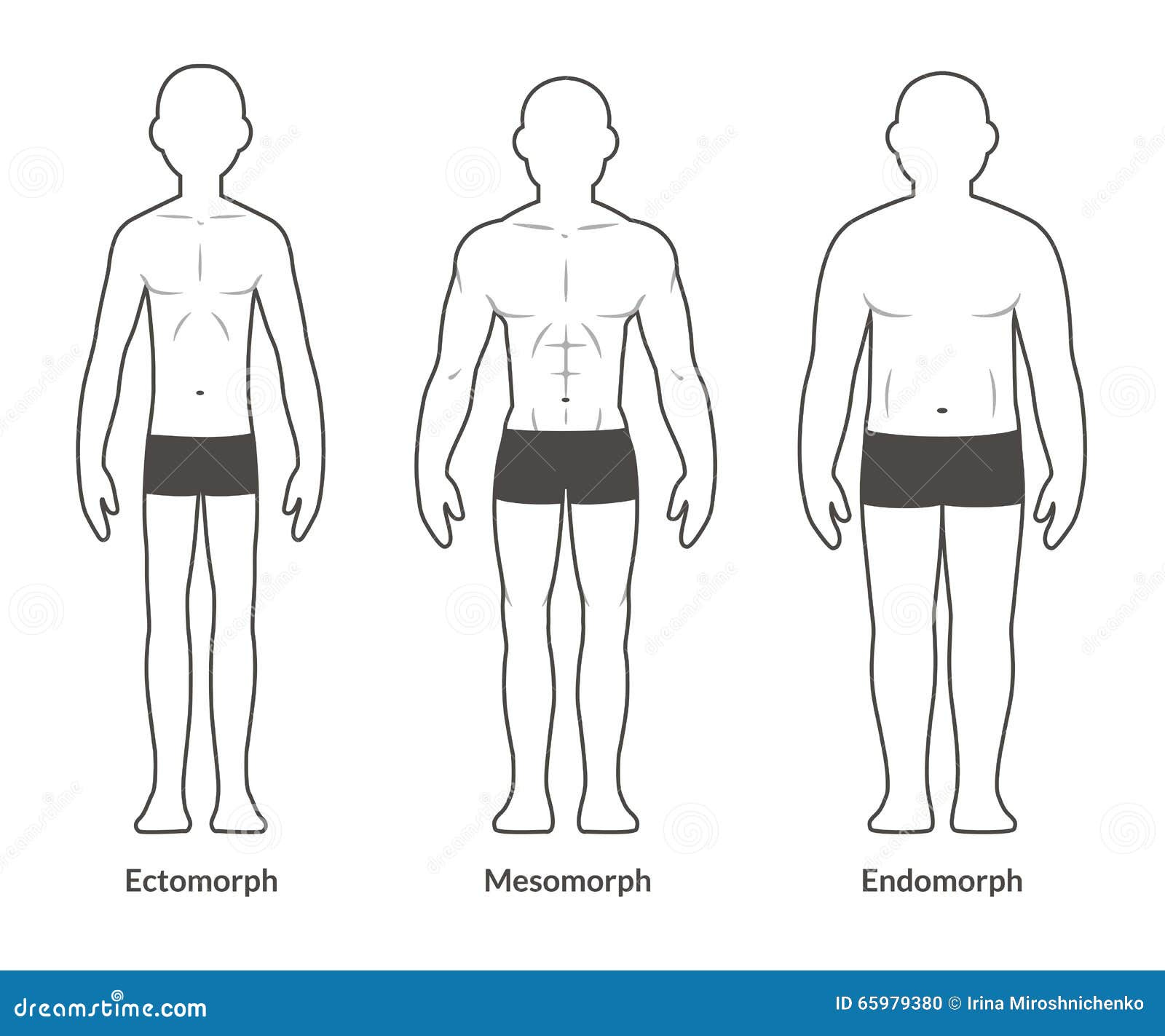 Men's Body Shape Guide (Fat, Skinny, Muscular) - Dress Your Body Type