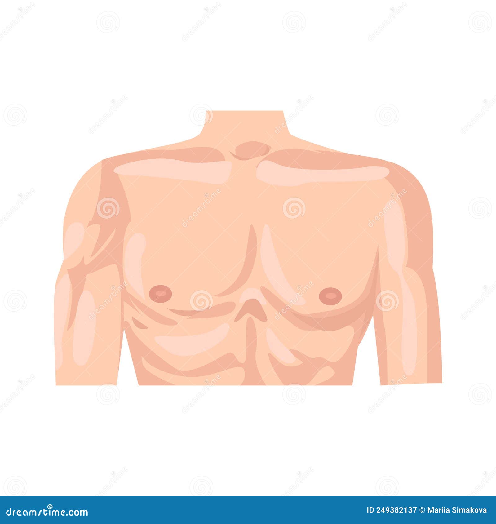 Flat Chested Stock Illustrations – 4 Flat Chested Stock