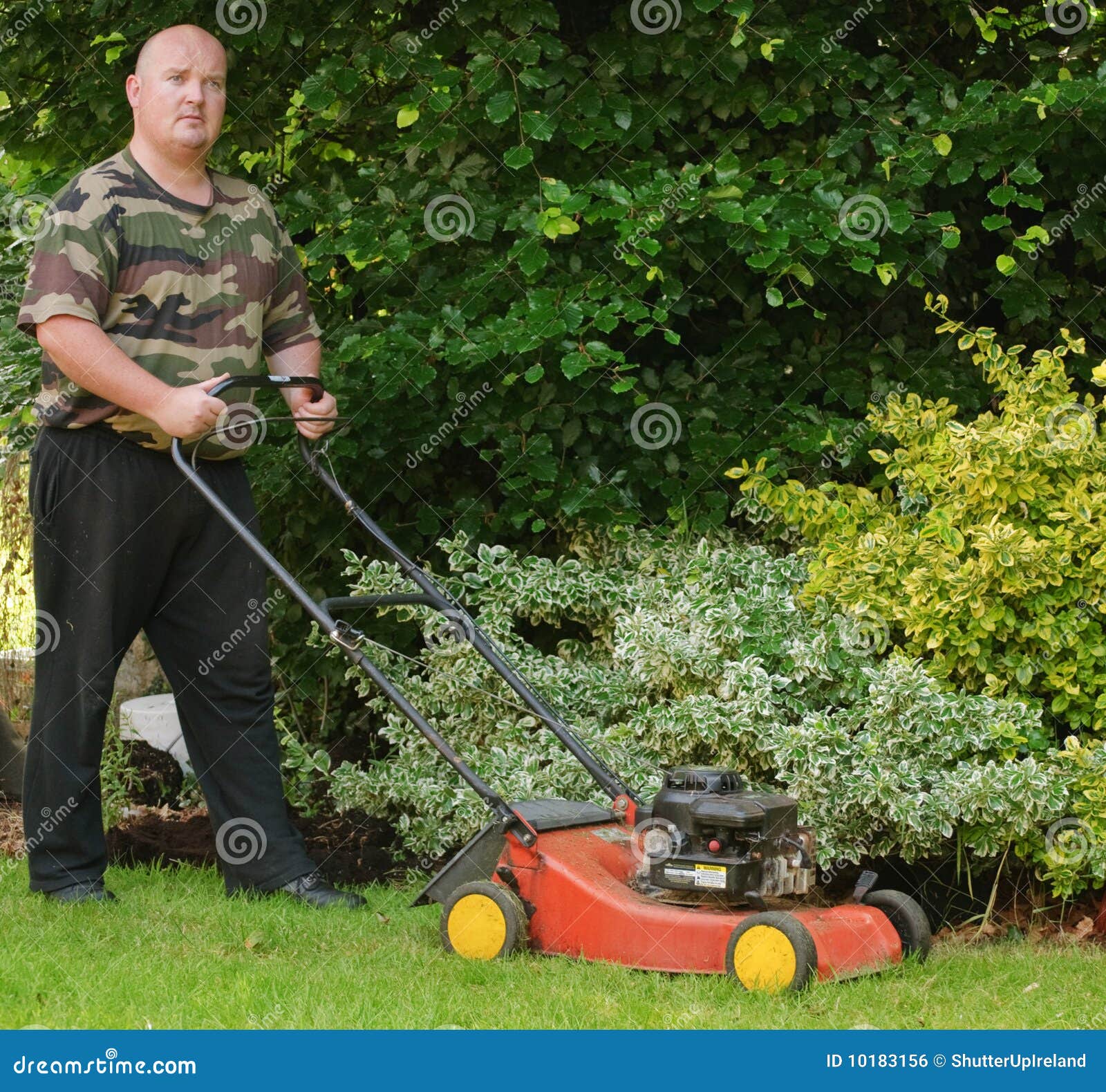 Male Cutting Mowing the Grass Stock Photo Image of short, noise 10183156