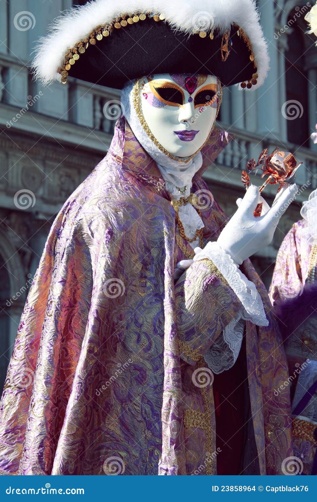 Male elegant mask stock photo. Image of elegant, festival - 23858964