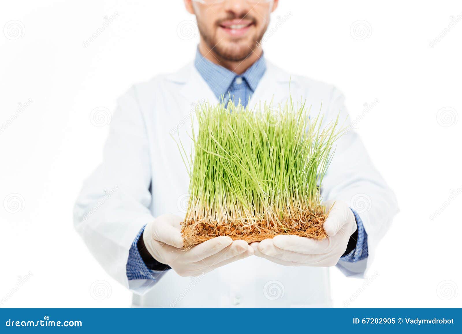 Male Engineer Showing a Modified Plants Stock Image Image of genes