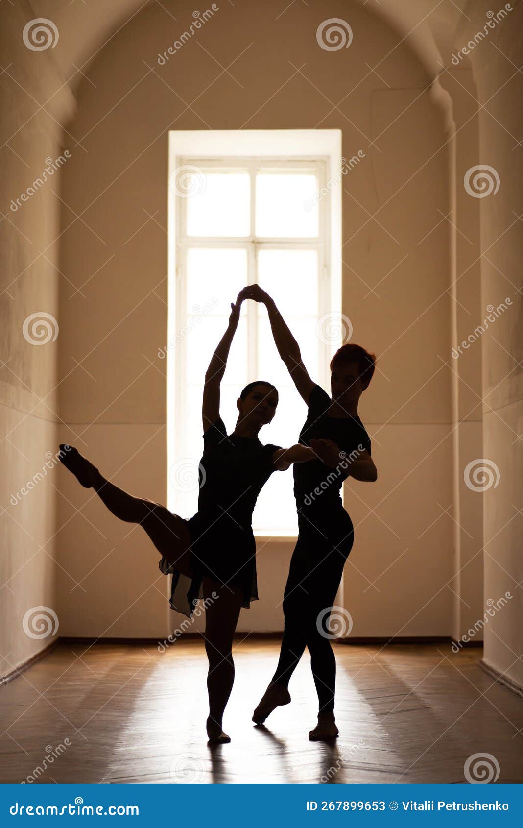 Male and Female Ballet Dancers Stock Image Image of gimmick