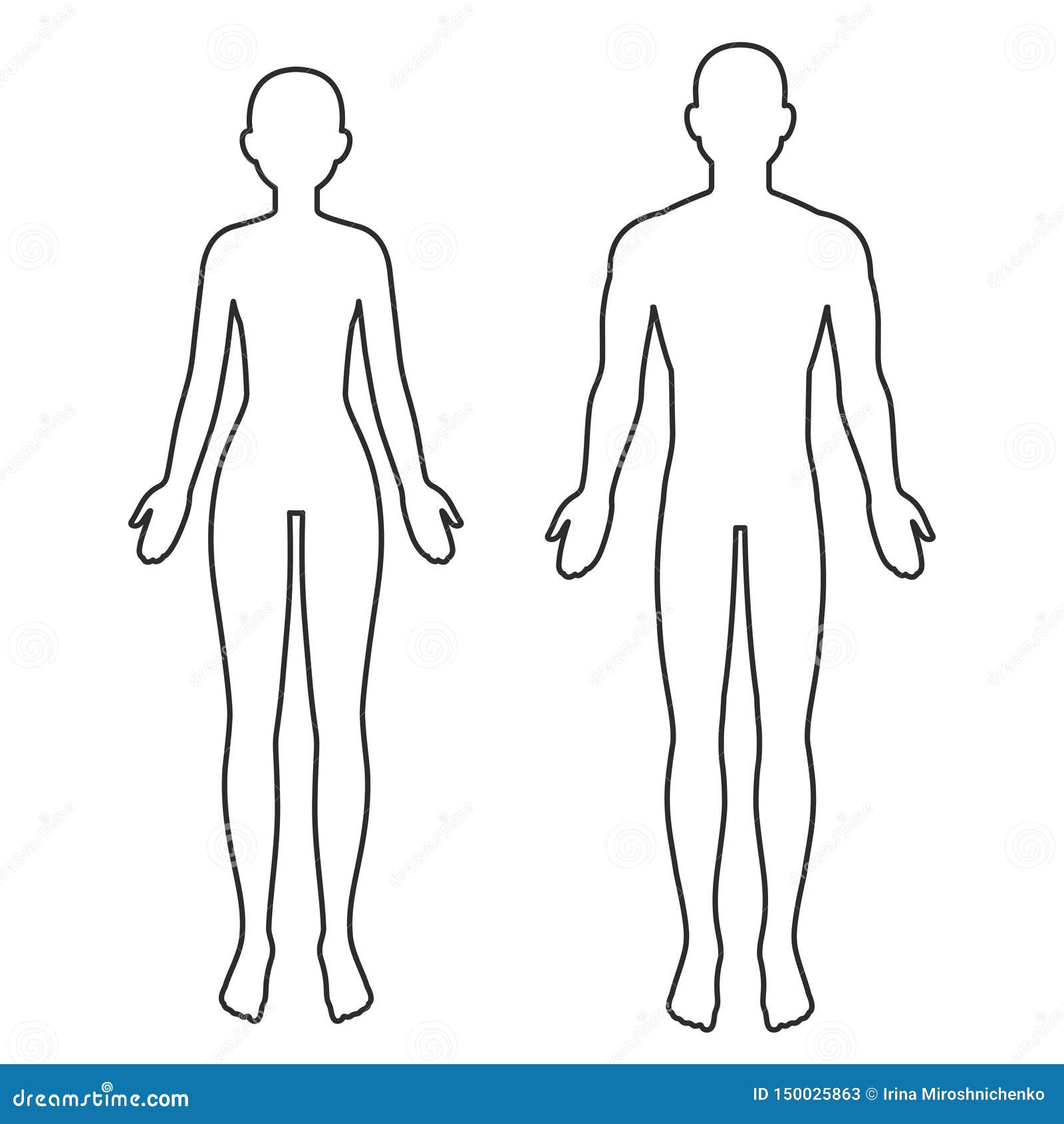 Male and Female Body Outline Stock Vector - Illustration of