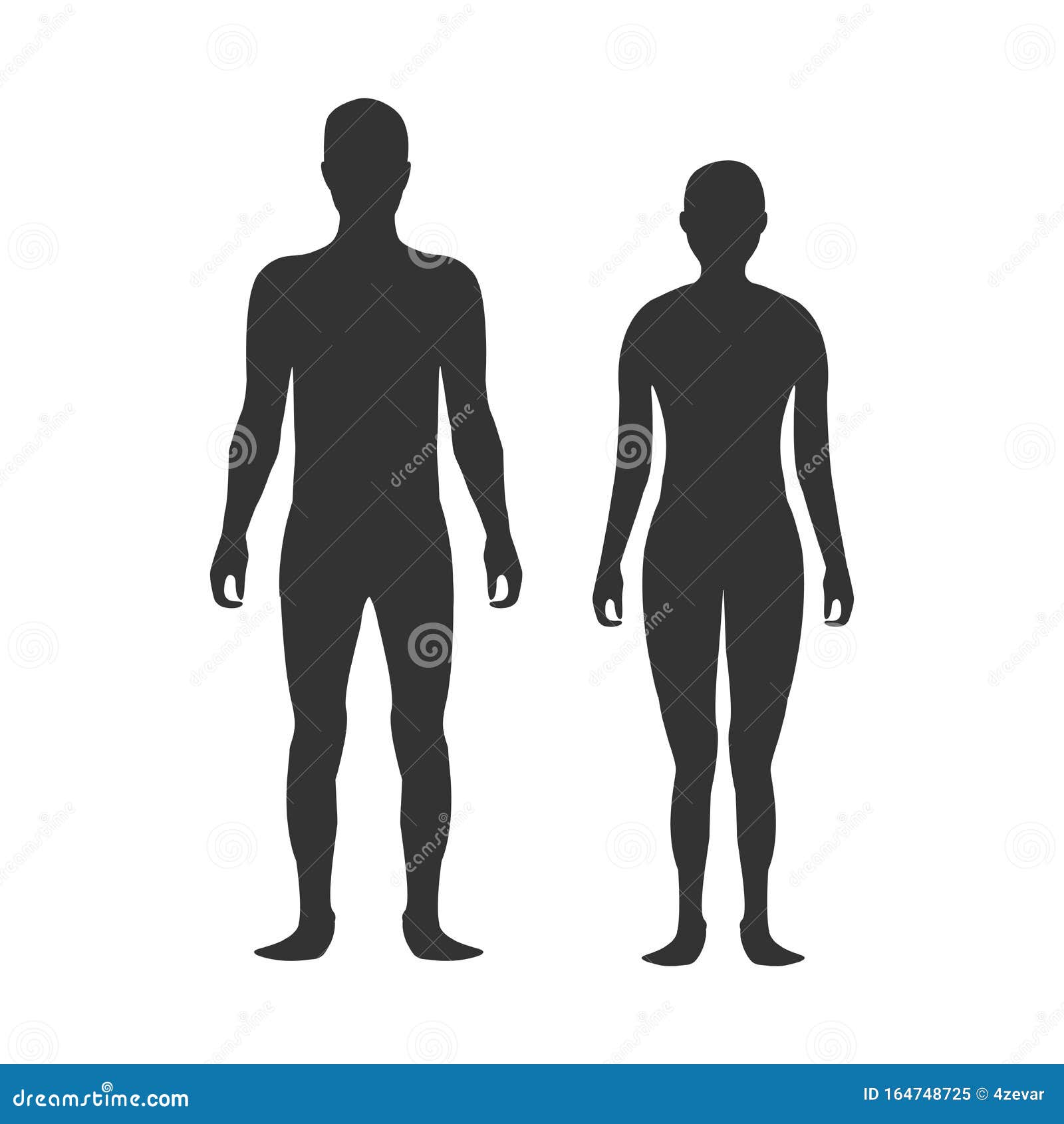 Blank Female Body Template from thumbs.dreamstime.com