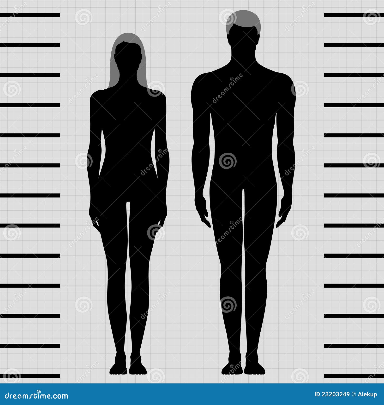 Male And Female Body Templates Stock Vector Illustration