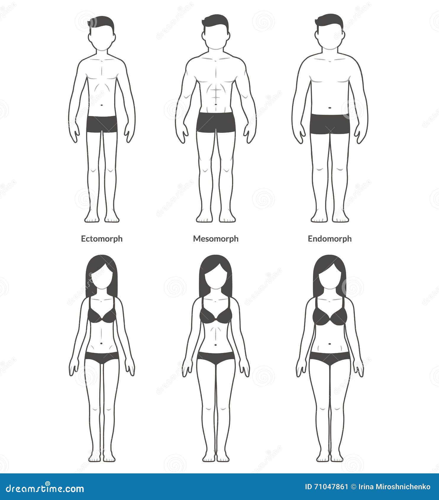 Male and female body types stock vector. Illustration of physique - 71047861
