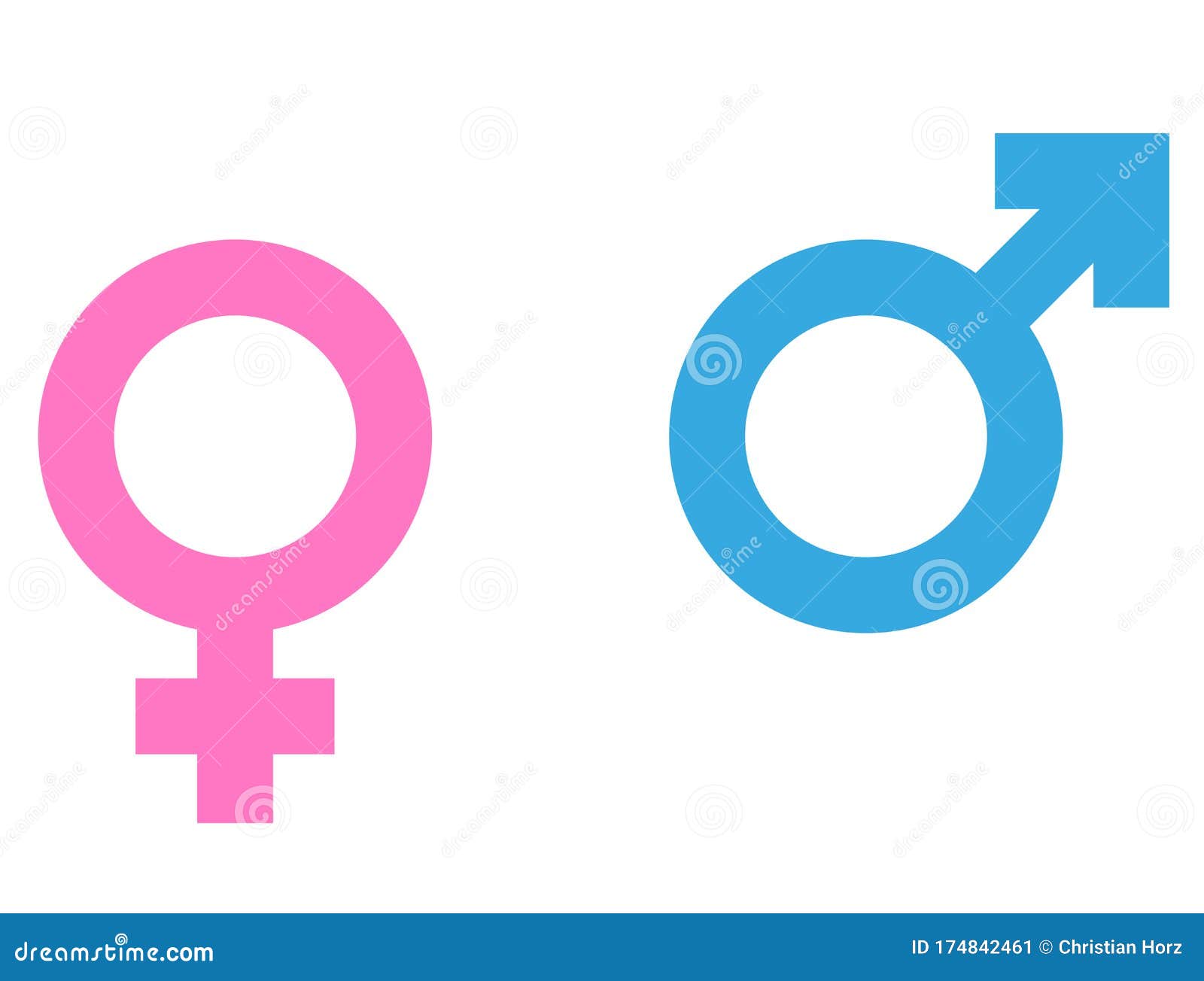 Male and Female Gender Symbols or Icons Vector Stock Vector ...