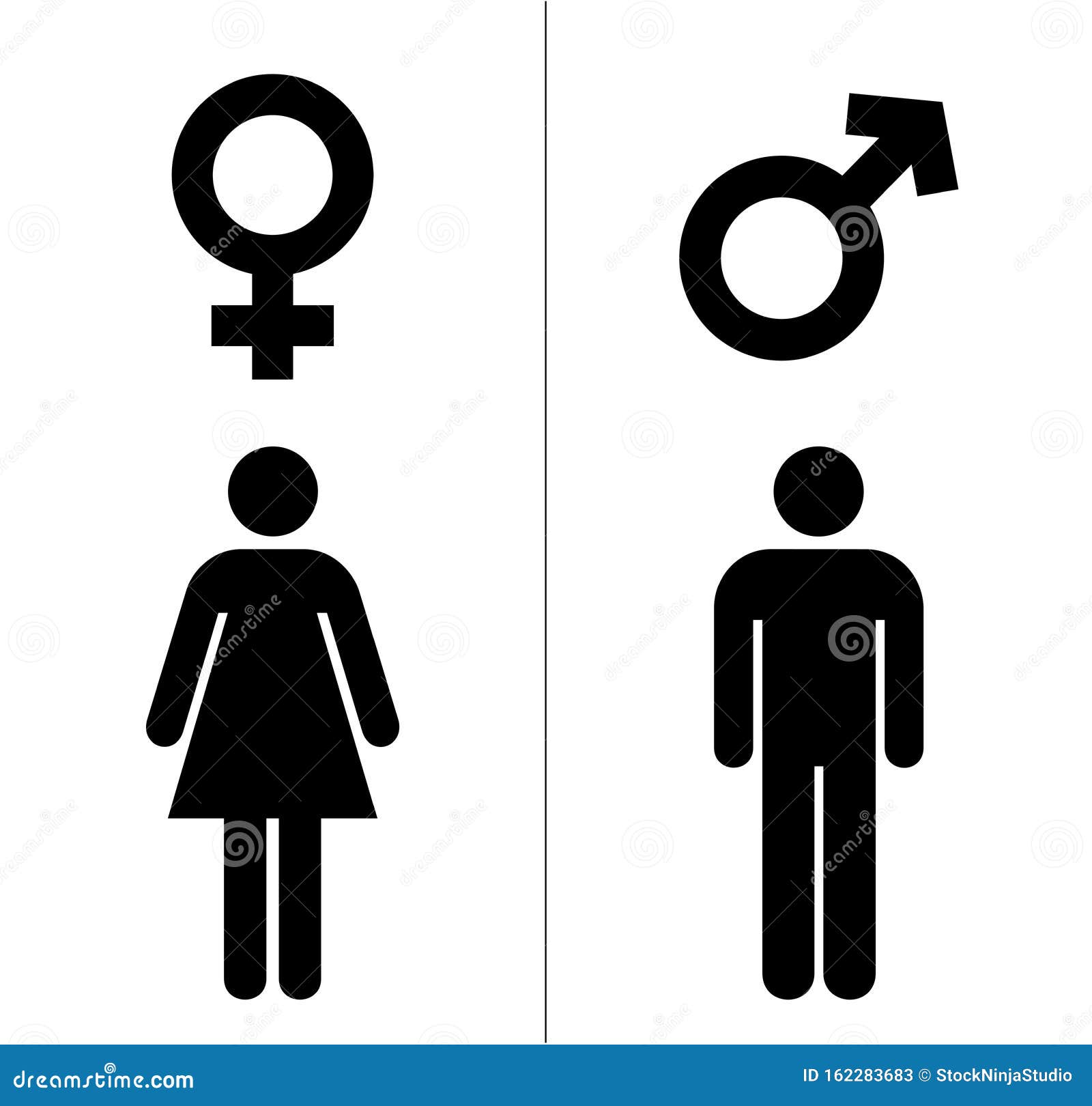 Gender Male Female