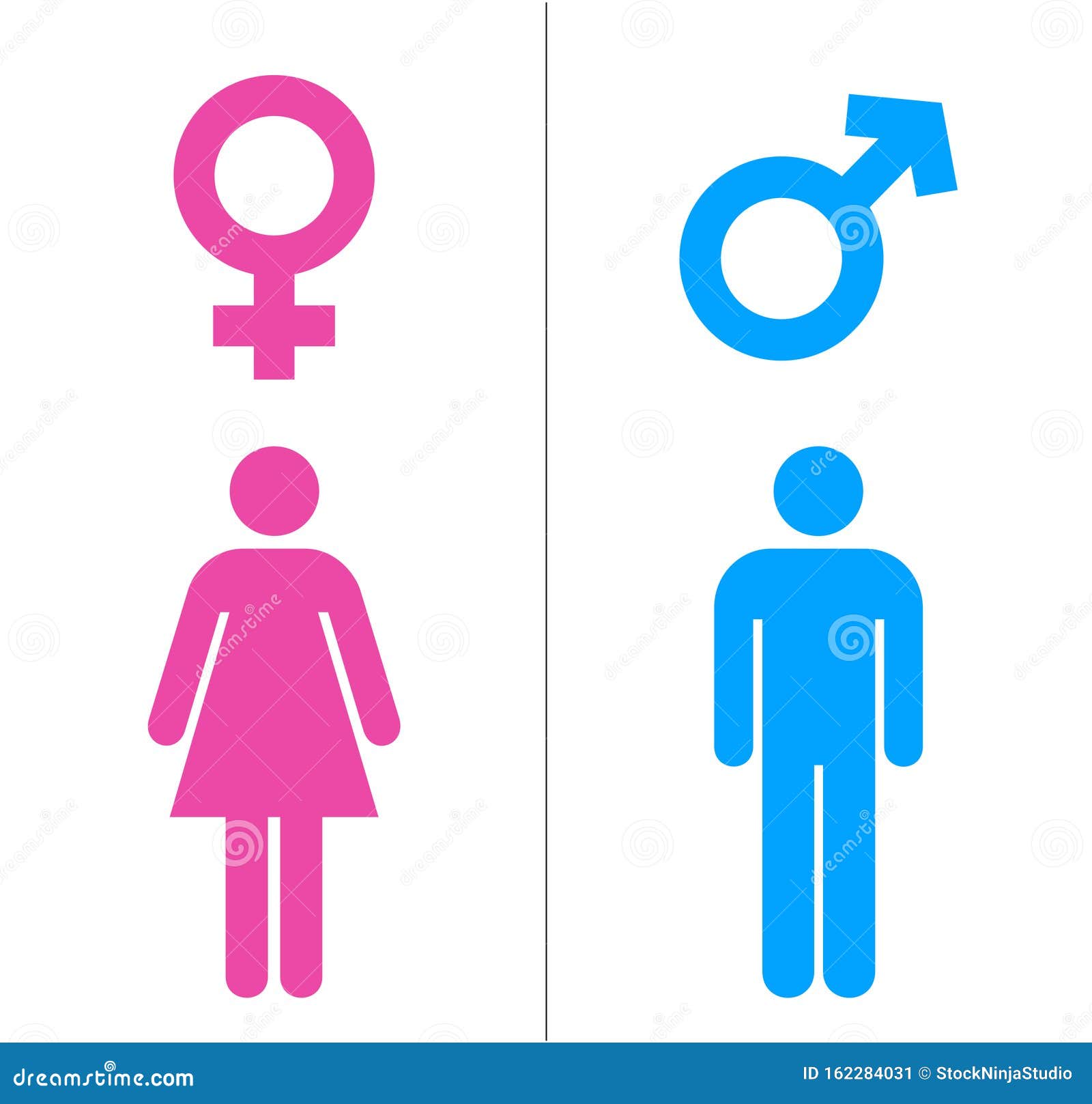 Male And Female Icons With Blue And Pink Color Gender Symbol Vector